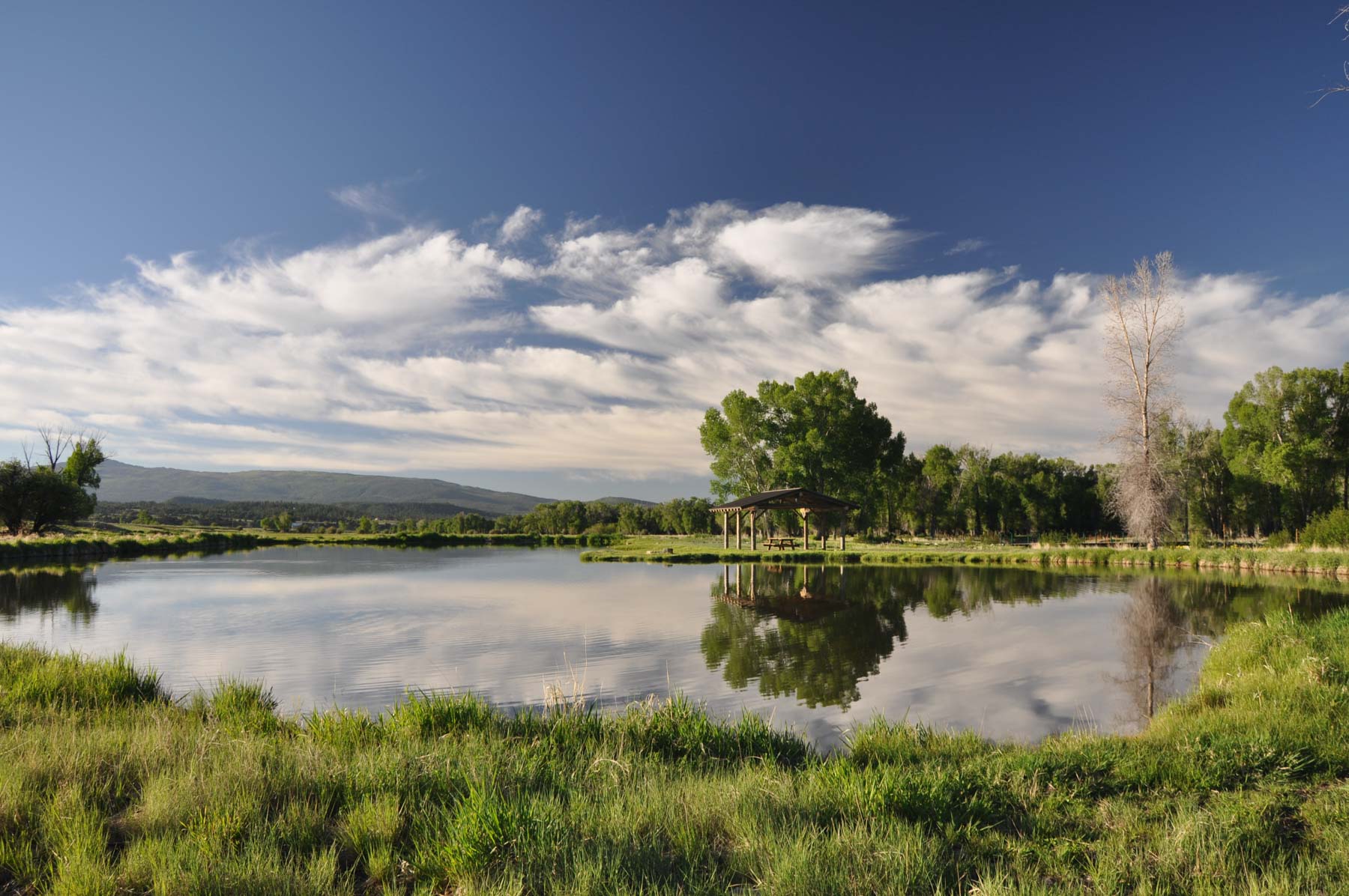 Canones Creek Ranch property picture 40 of 112