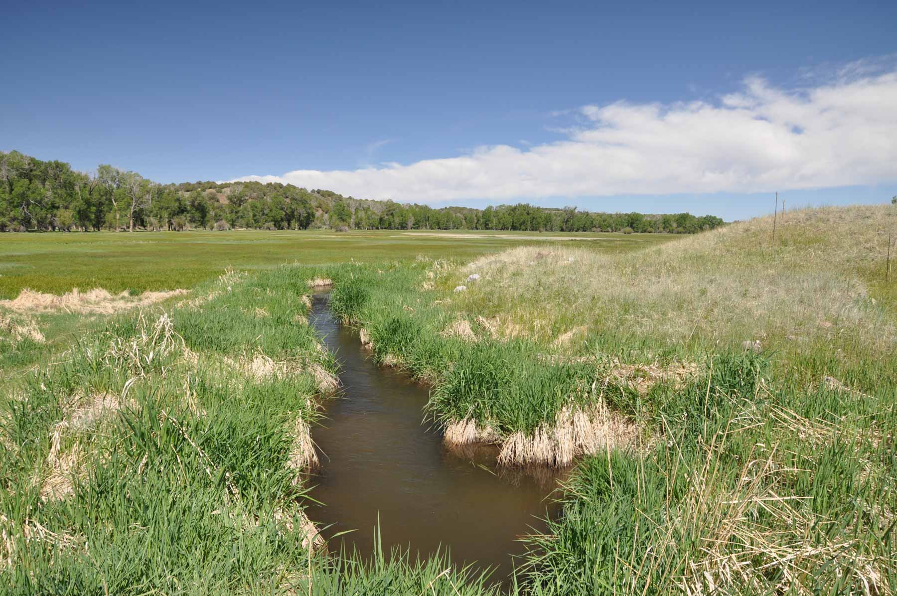 Canones Creek Ranch property picture 85 of 112