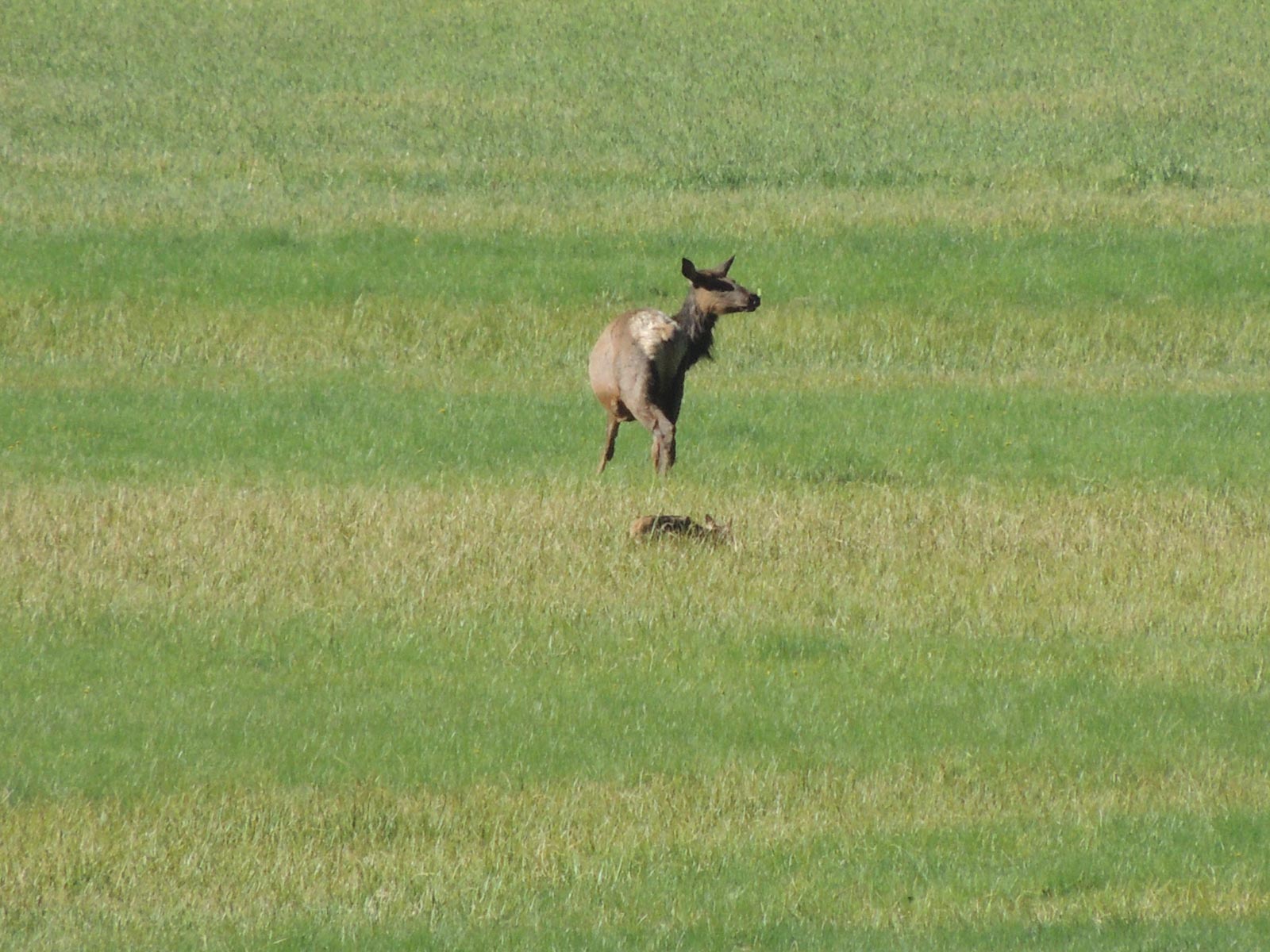 Canones Creek Ranch property picture 106 of 112