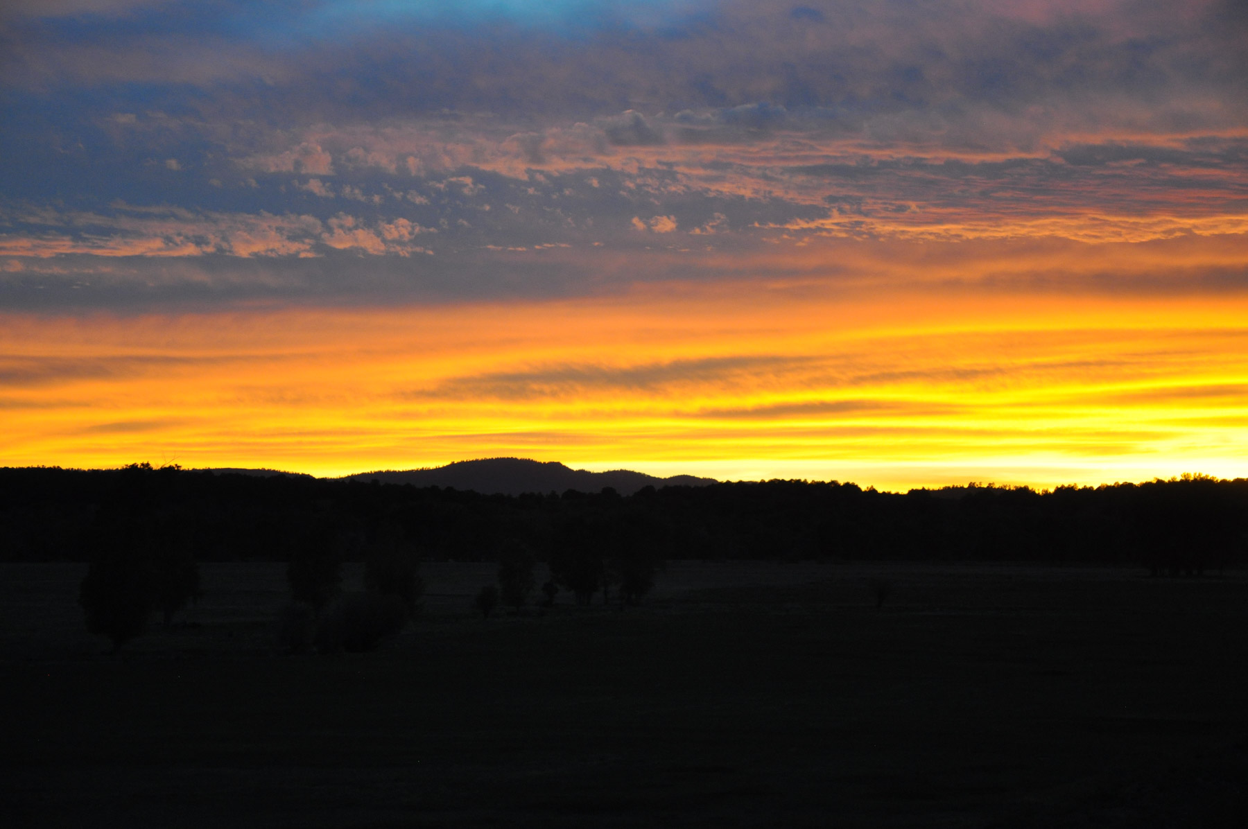 Canones Creek Ranch property picture 95 of 112