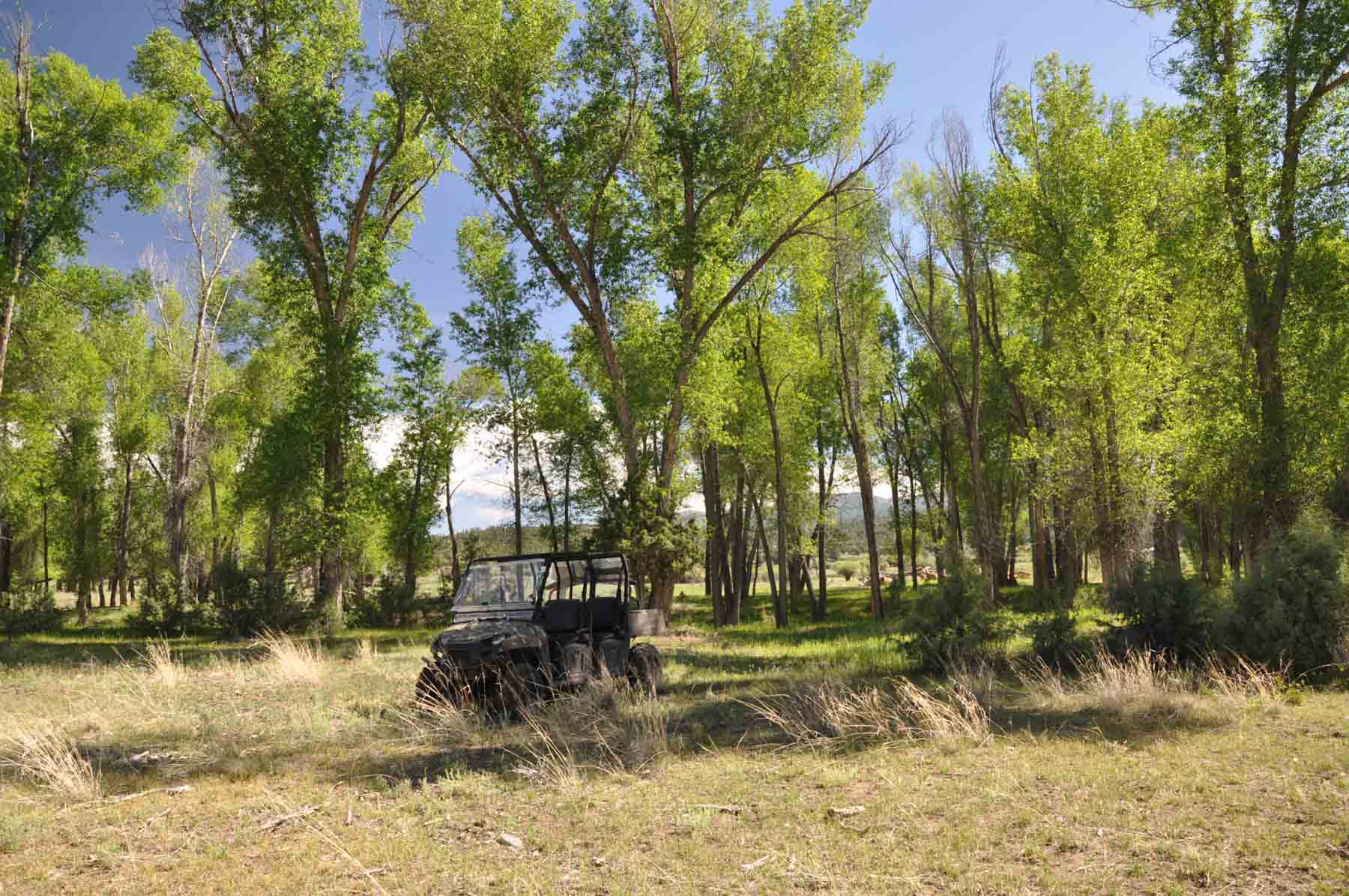 Canones Creek Ranch property picture 82 of 112