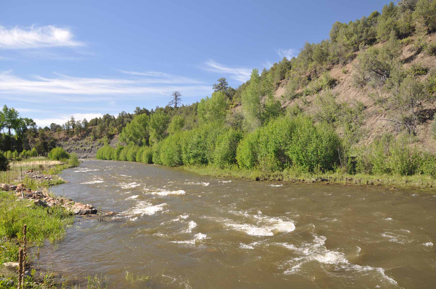 Canones Creek Ranch property picture 80 of 112