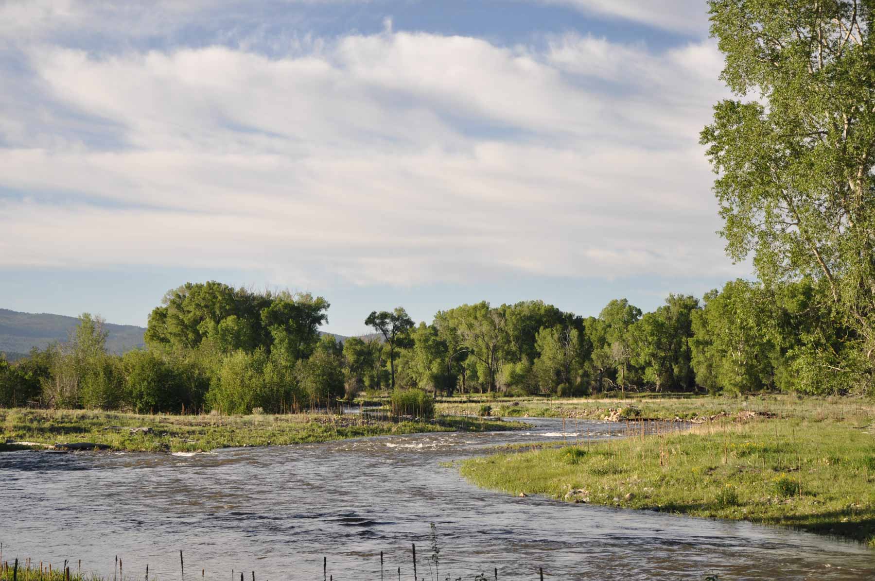 Canones Creek Ranch property picture 38 of 112