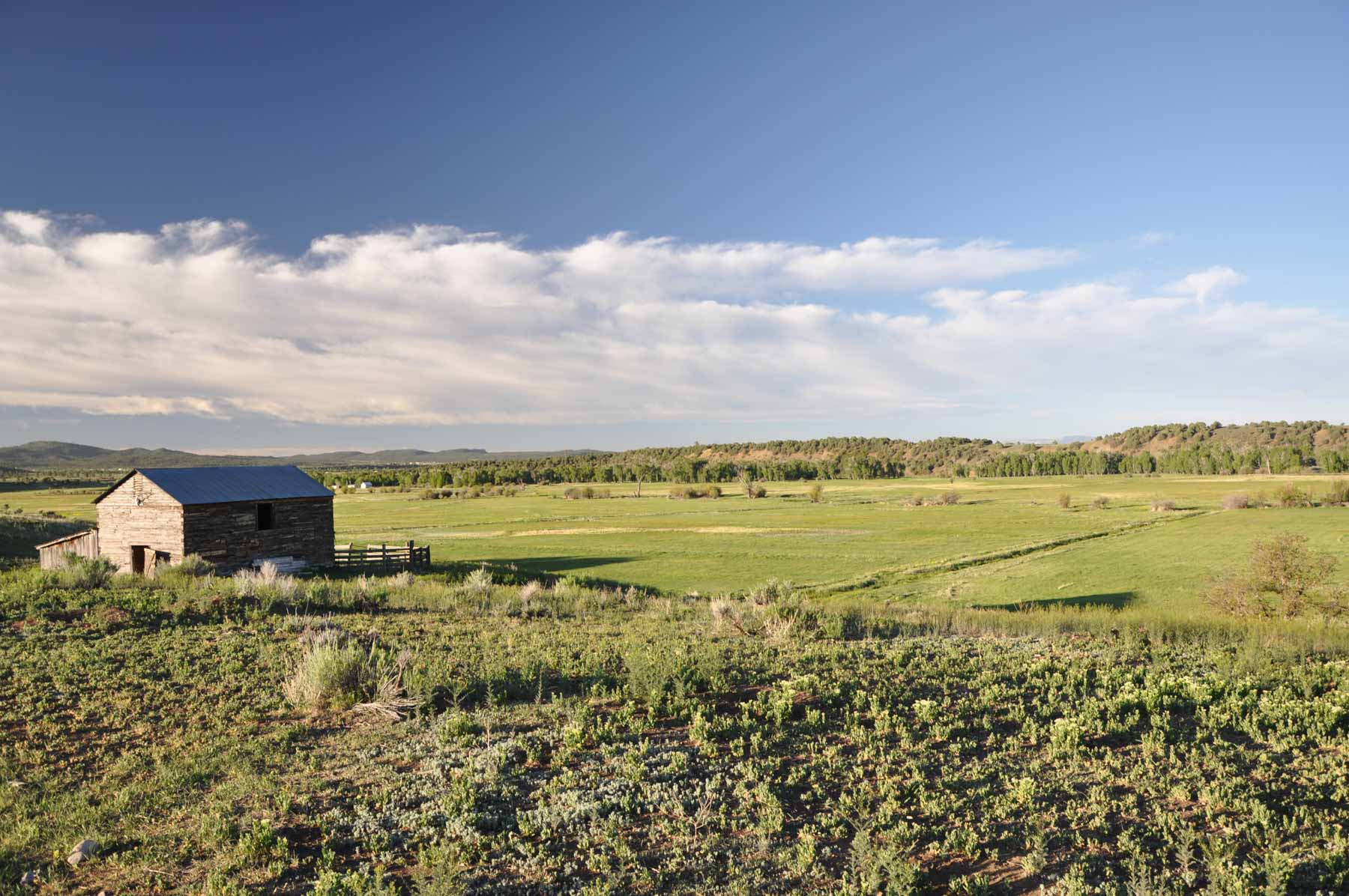 Canones Creek Ranch property picture 31 of 112