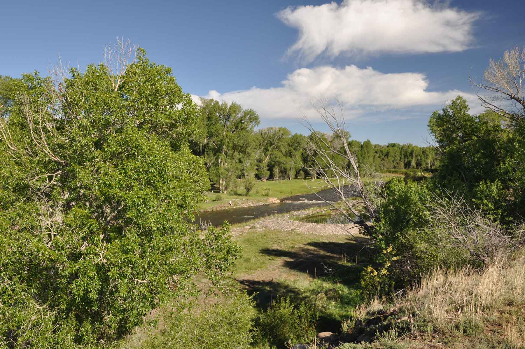 Canones Creek Ranch property picture 58 of 112