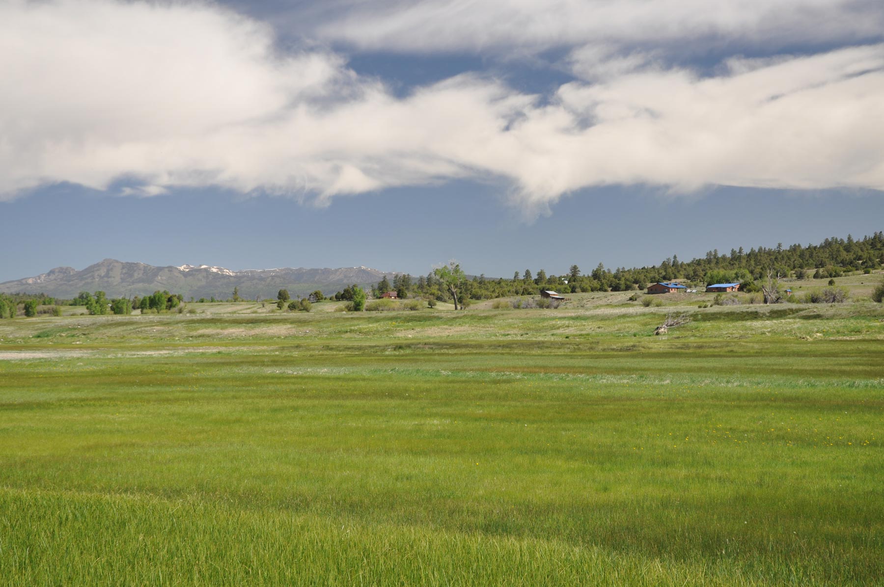 Canones Creek Ranch property picture 17 of 112