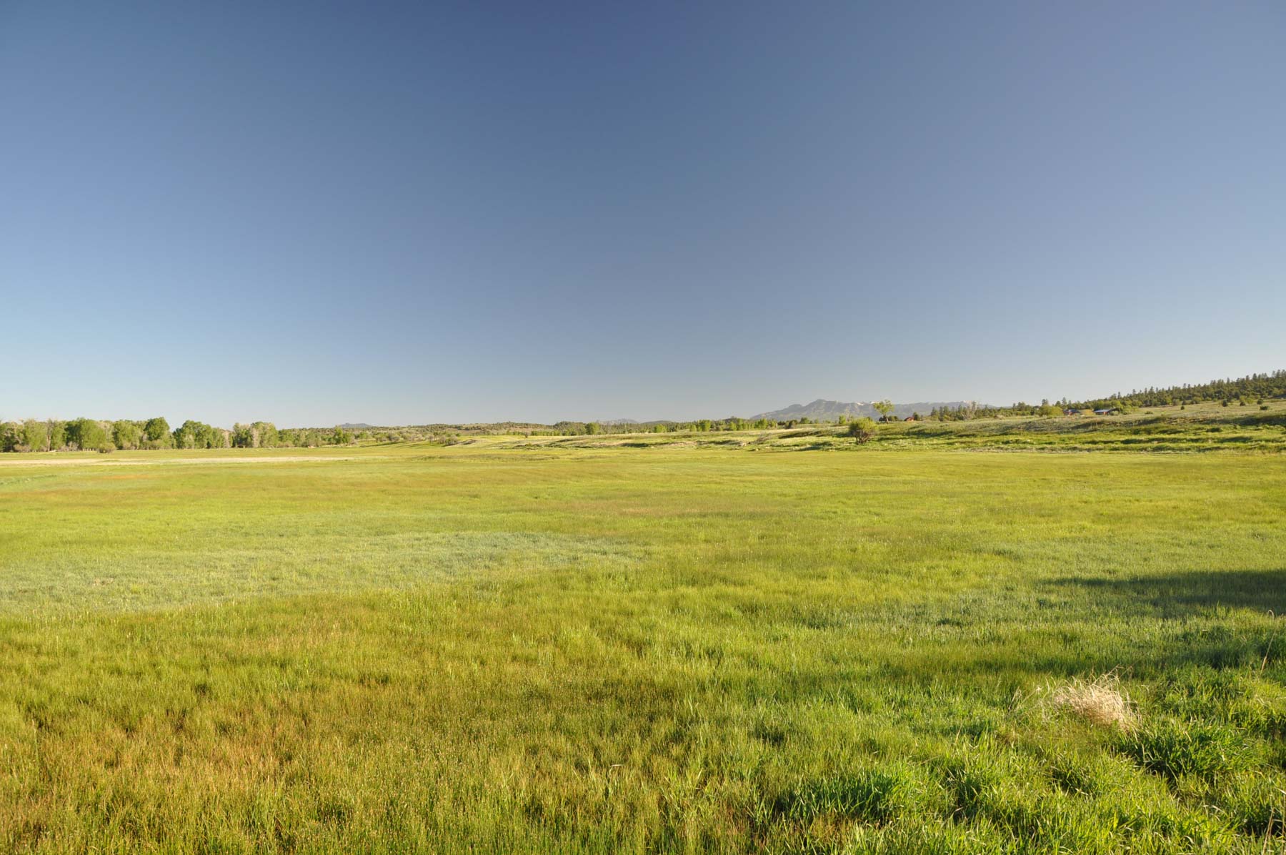 Canones Creek Ranch property picture 45 of 112