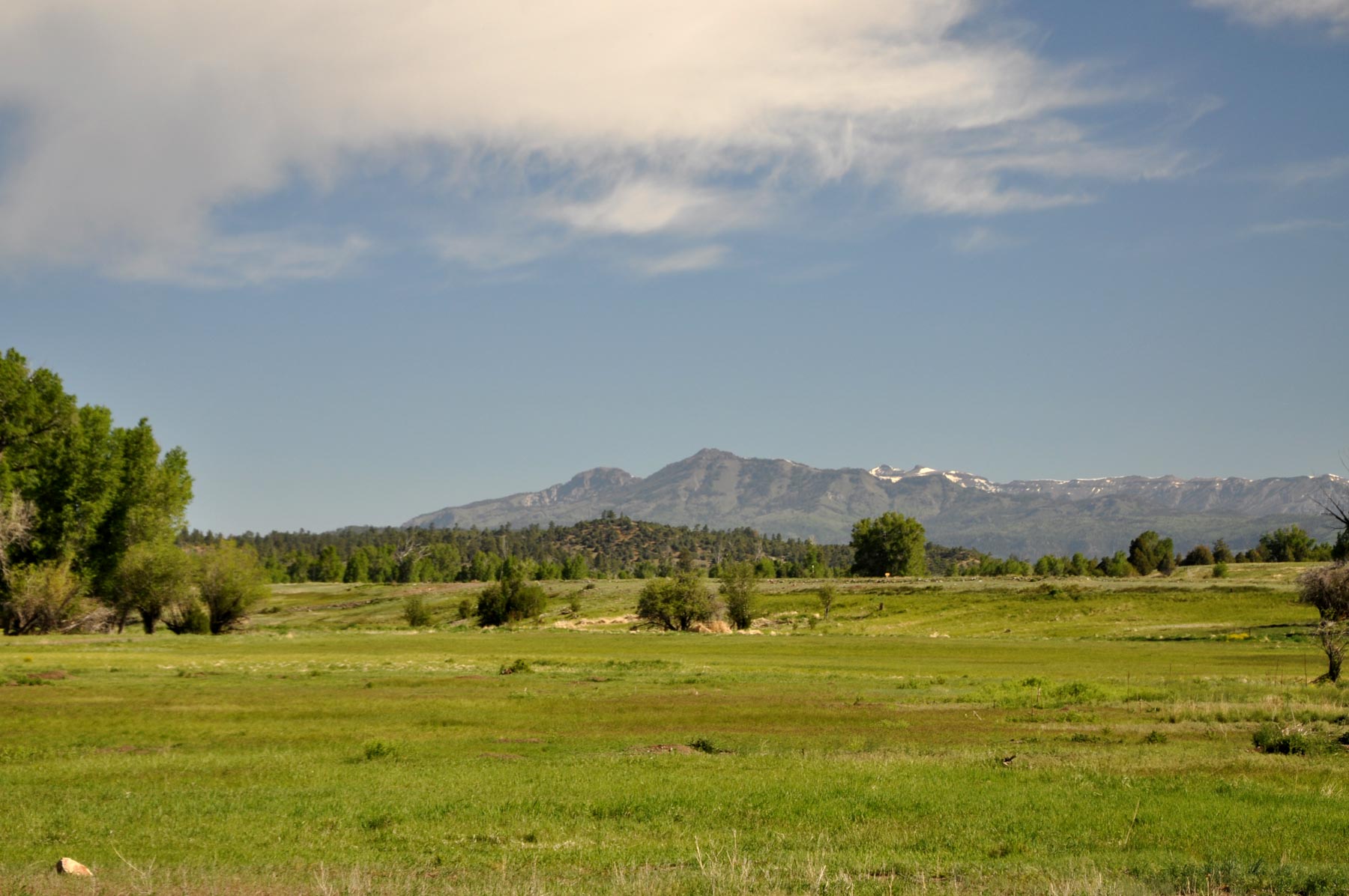 Canones Creek Ranch property picture 12 of 112