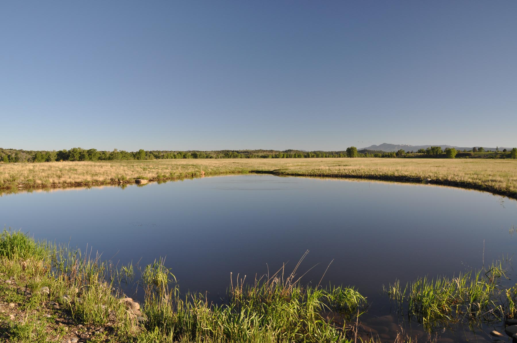 Canones Creek Ranch property picture 33 of 112