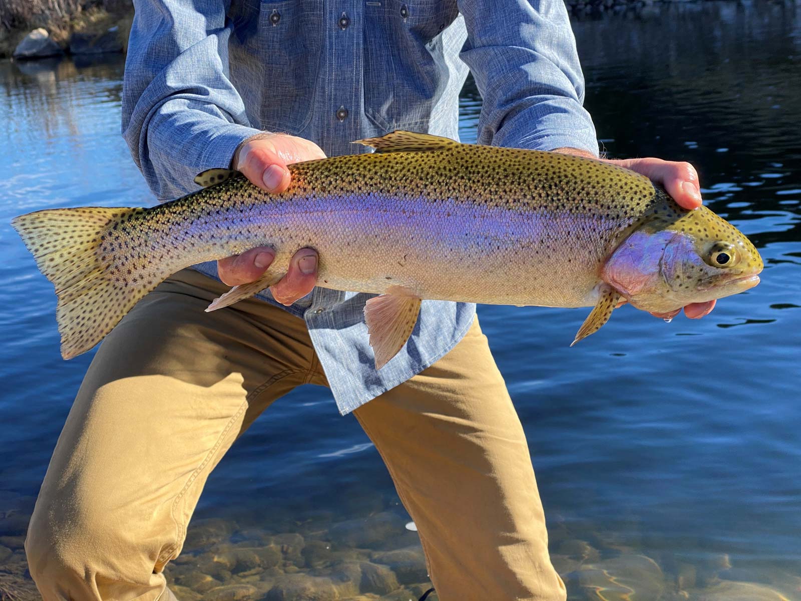 Canones Creek Ranch property picture 96 of 112