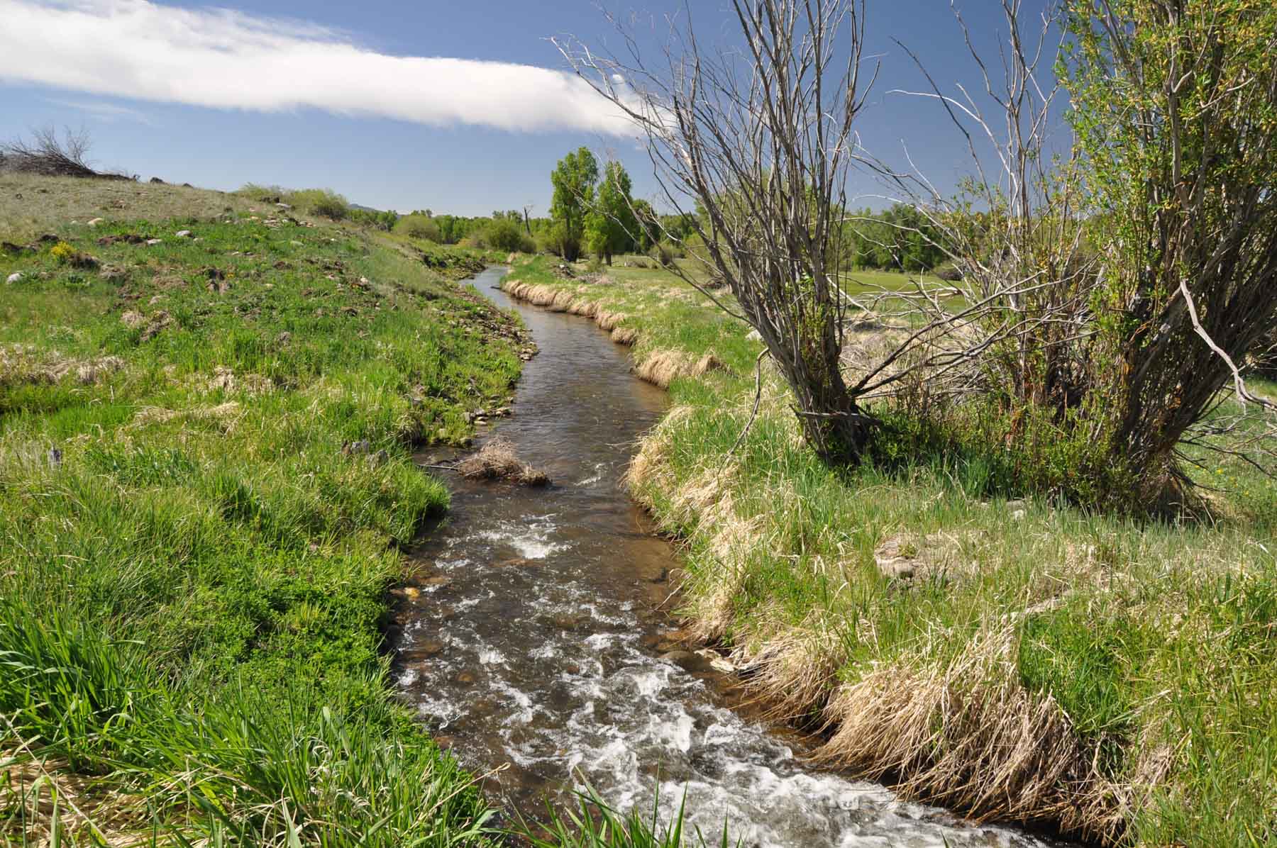 Canones Creek Ranch property picture 86 of 112