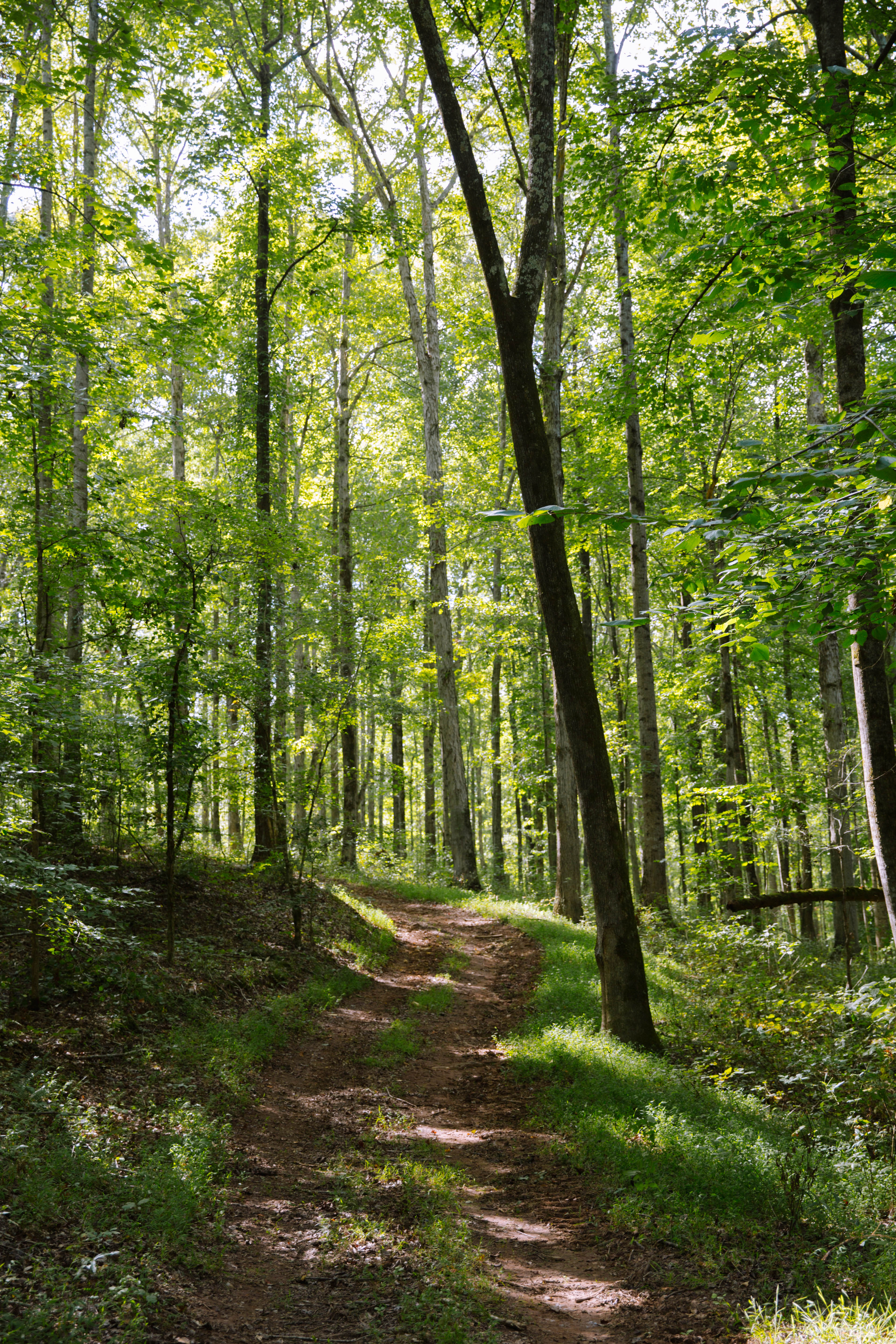 Sugar Creek Farm property picture 80 of 92