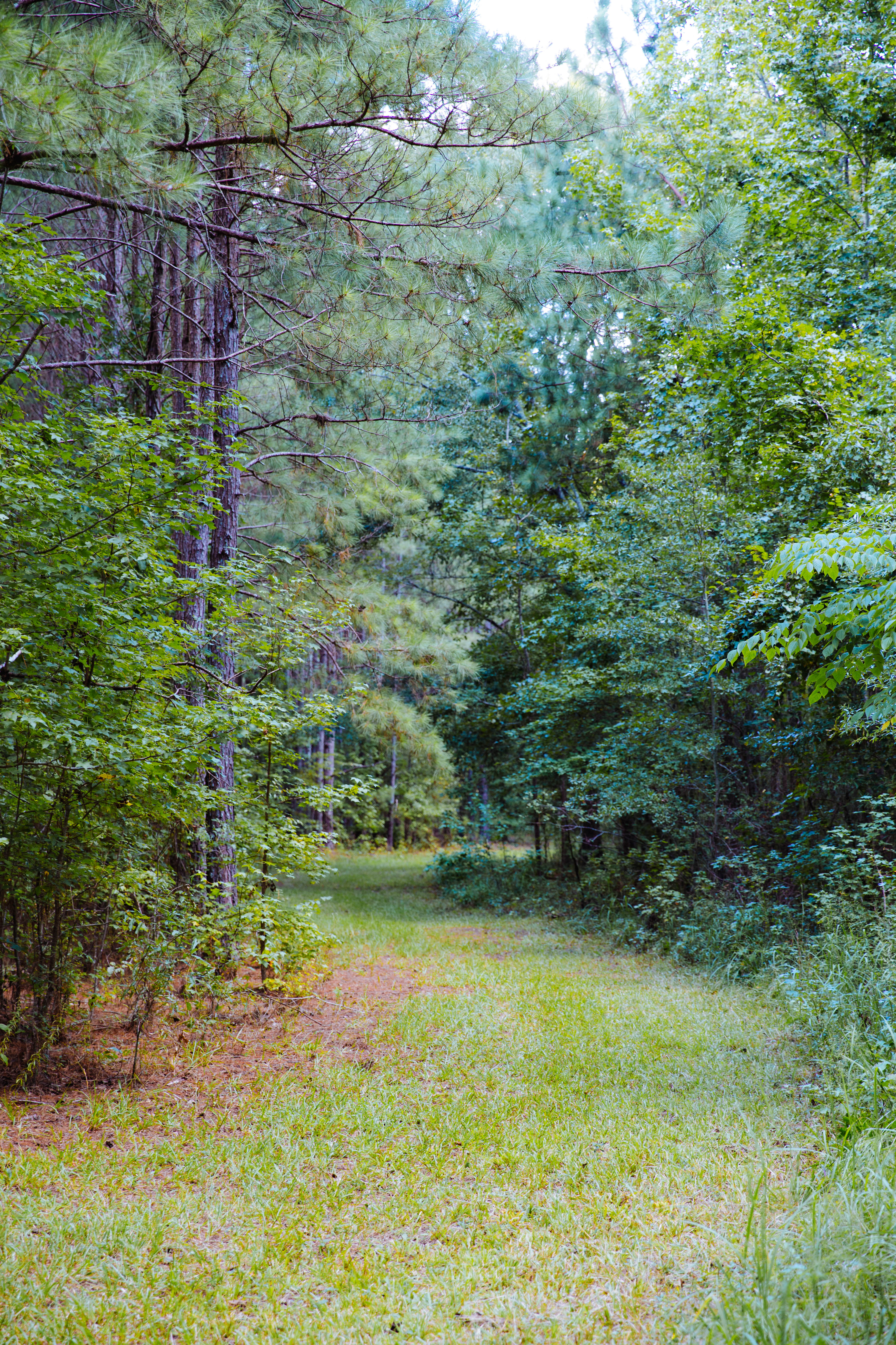 Sugar Creek Farm property picture 73 of 92