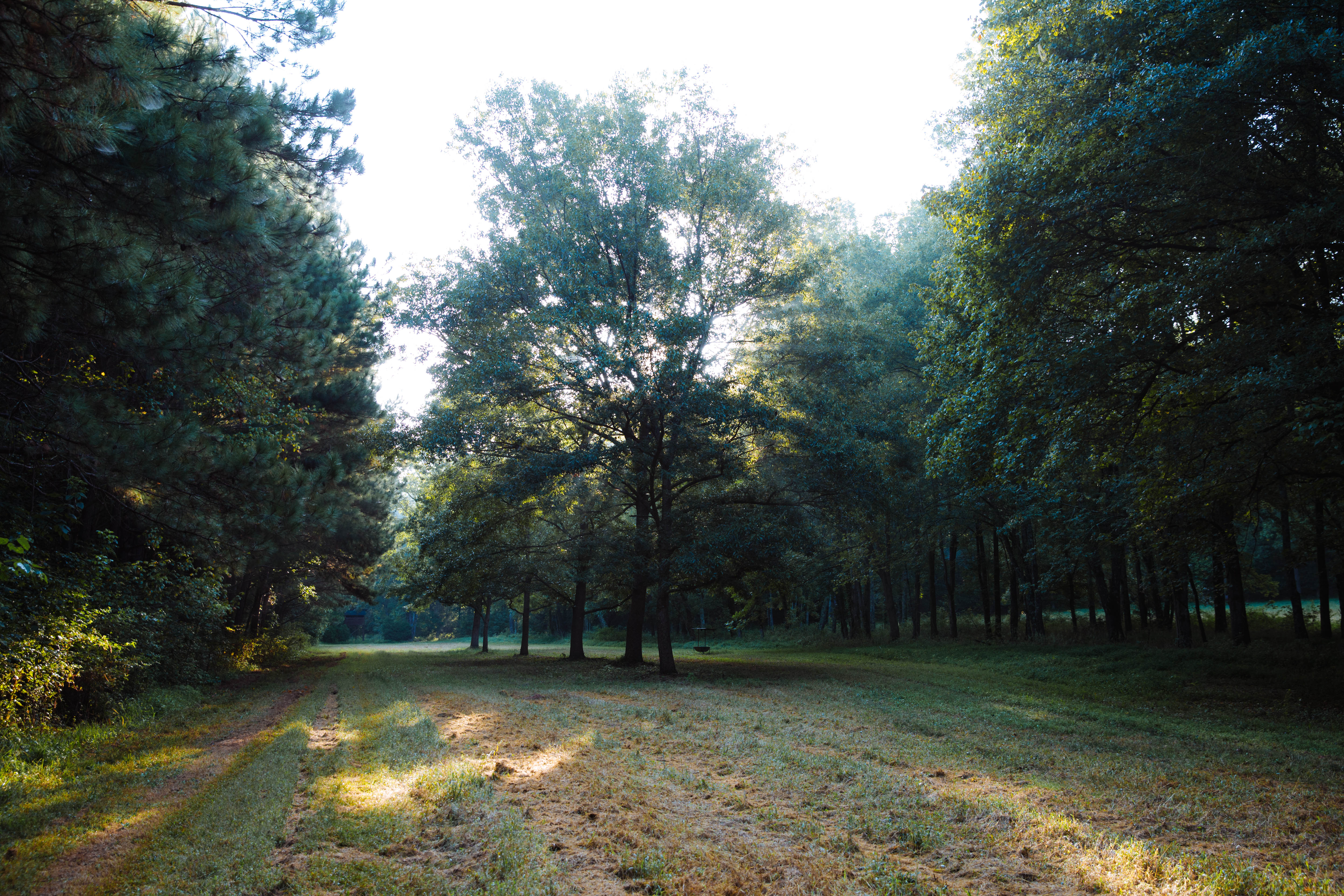 Sugar Creek Farm property picture 89 of 92