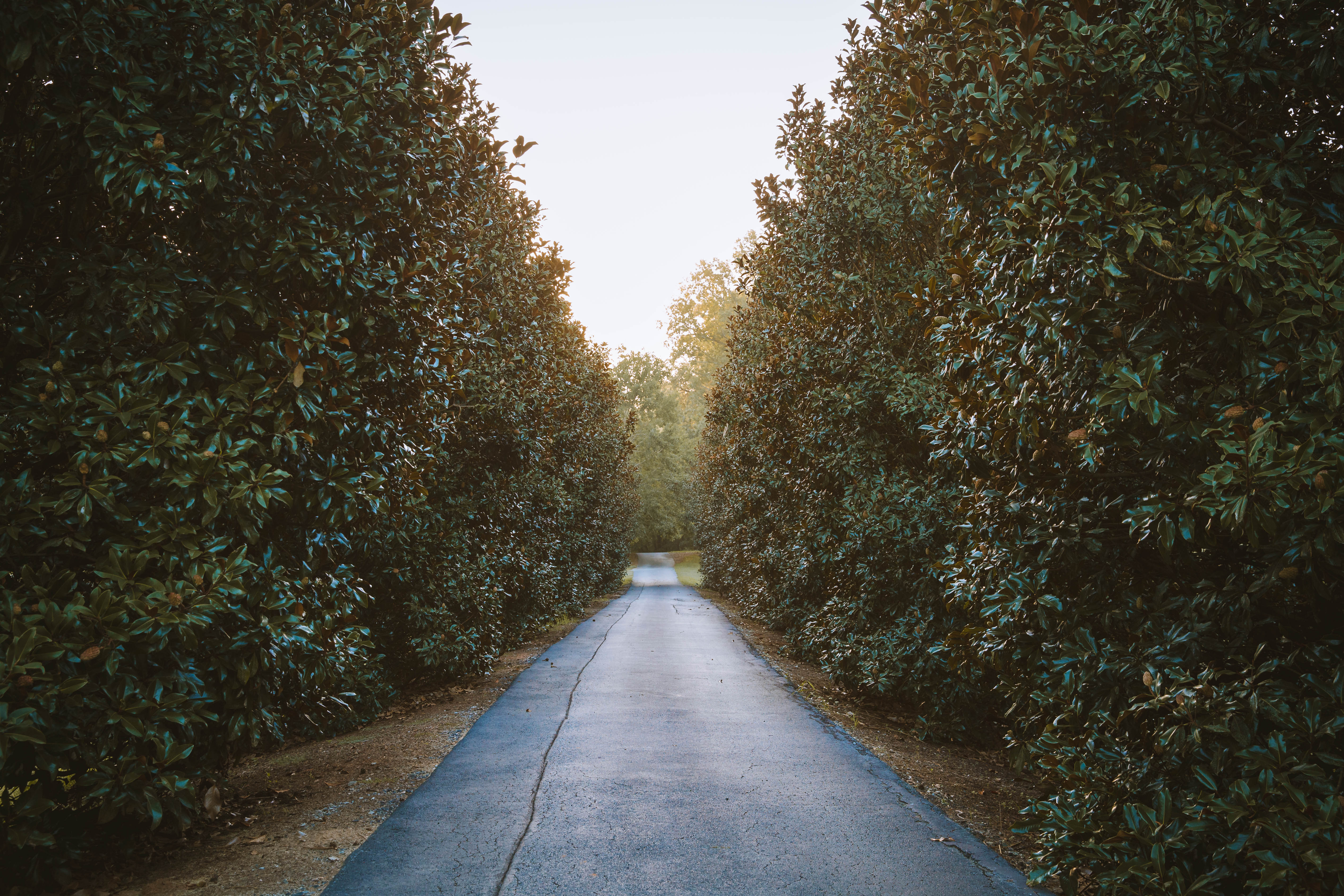 Sugar Creek Farm property picture 10 of 92