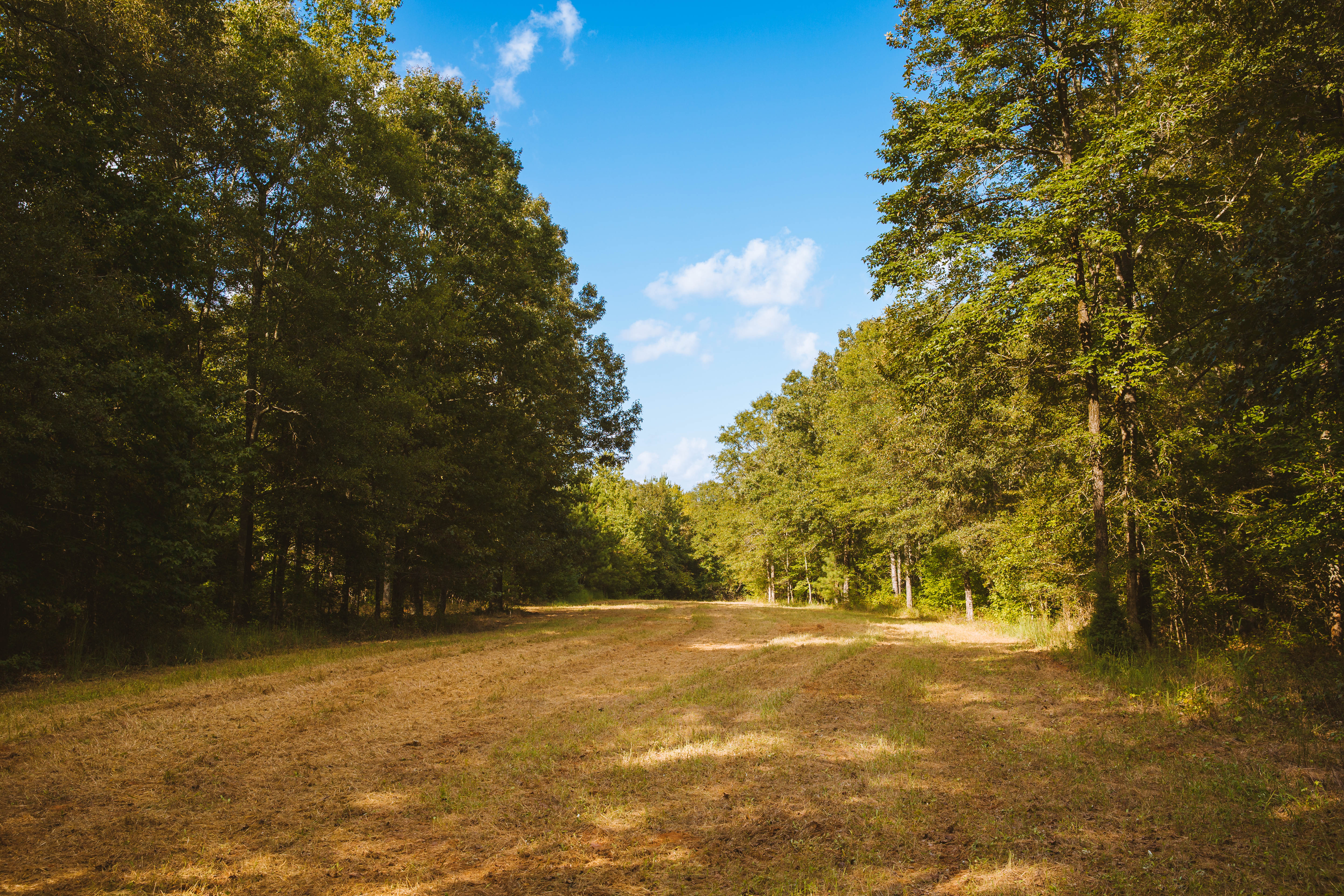 Sugar Creek Farm property picture 79 of 92