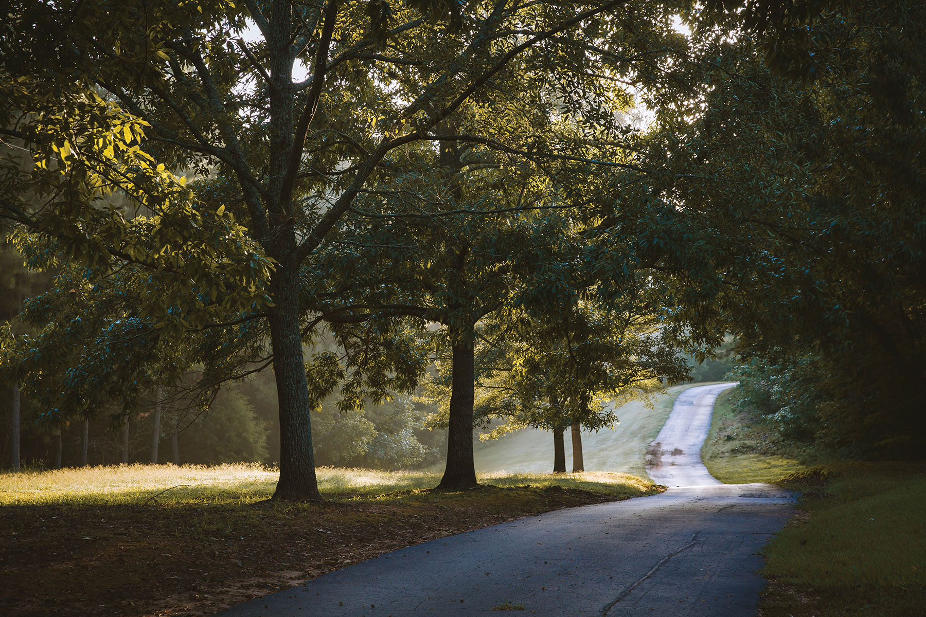 Sugar Creek Farm property picture 11 of 92