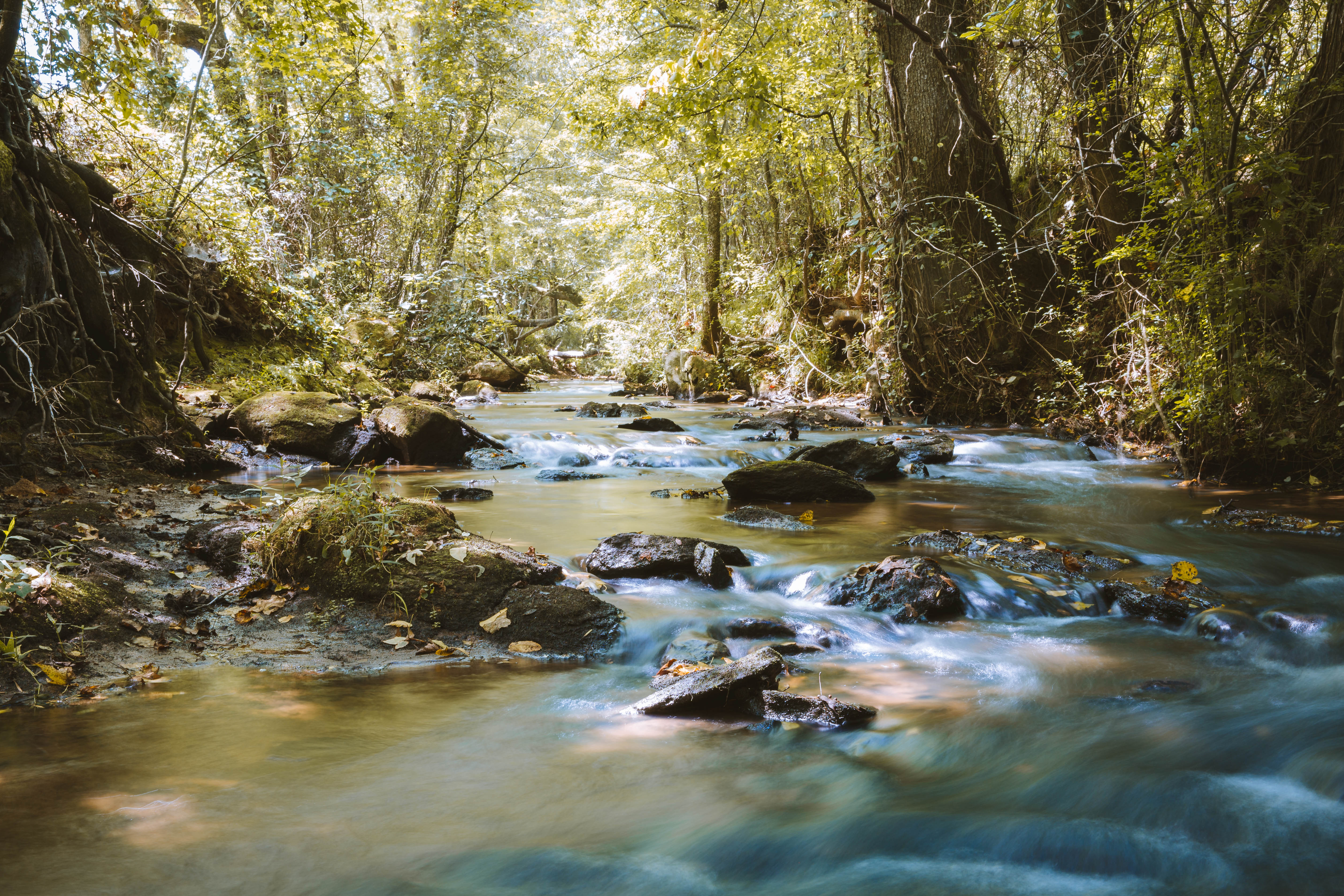 Sugar Creek Farm property picture 74 of 92