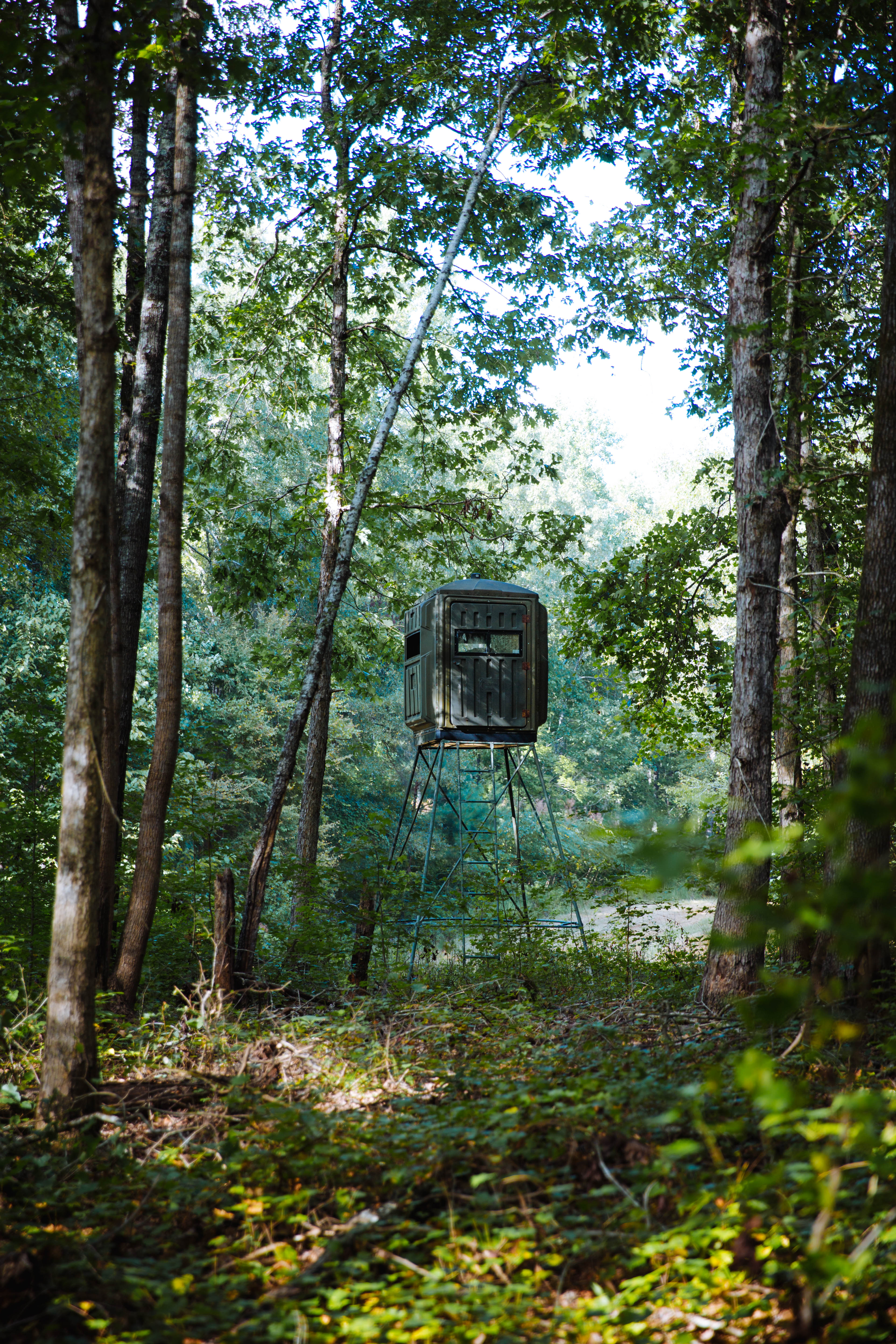 Sugar Creek Farm property picture 64 of 92