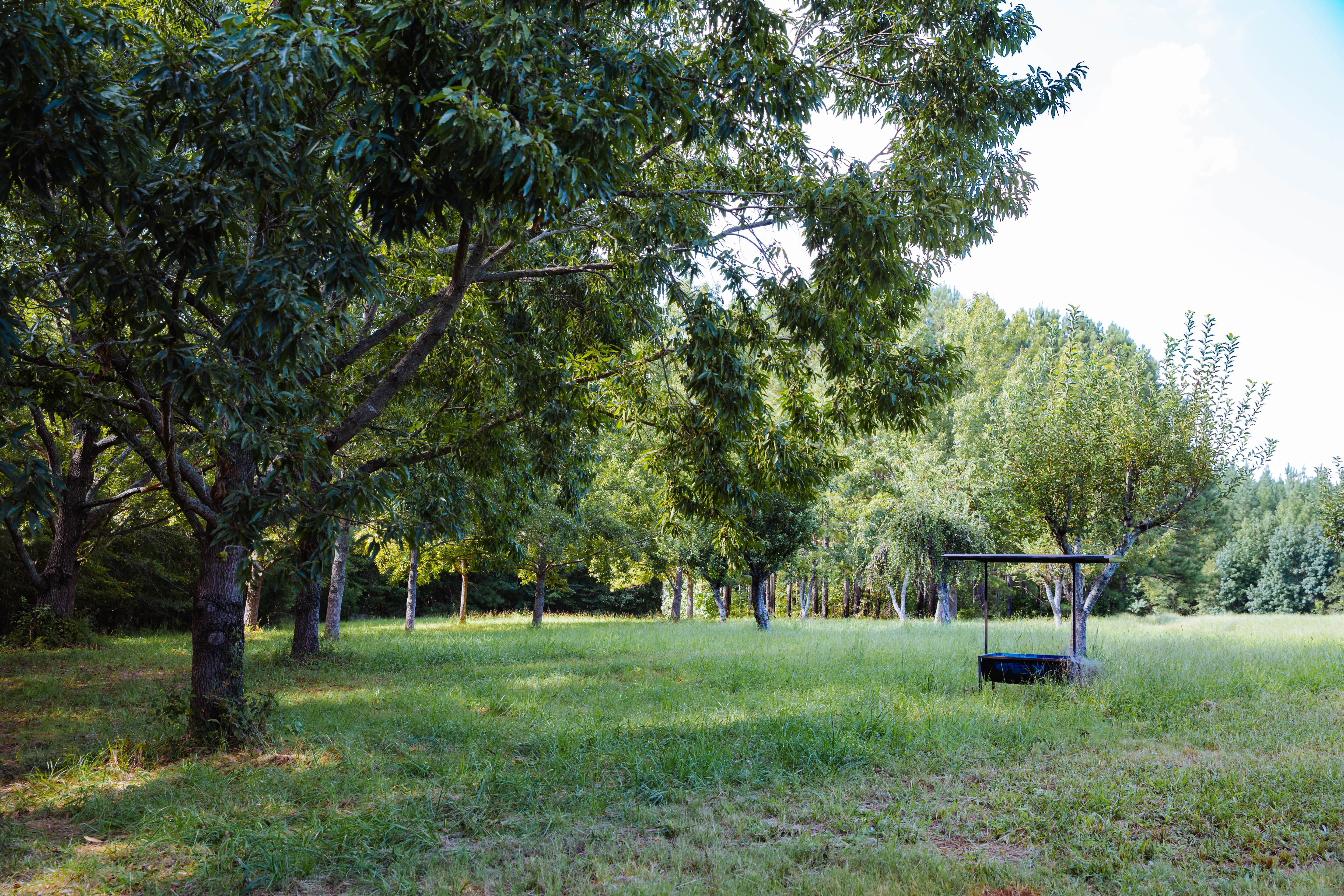 Sugar Creek Farm property picture 75 of 92