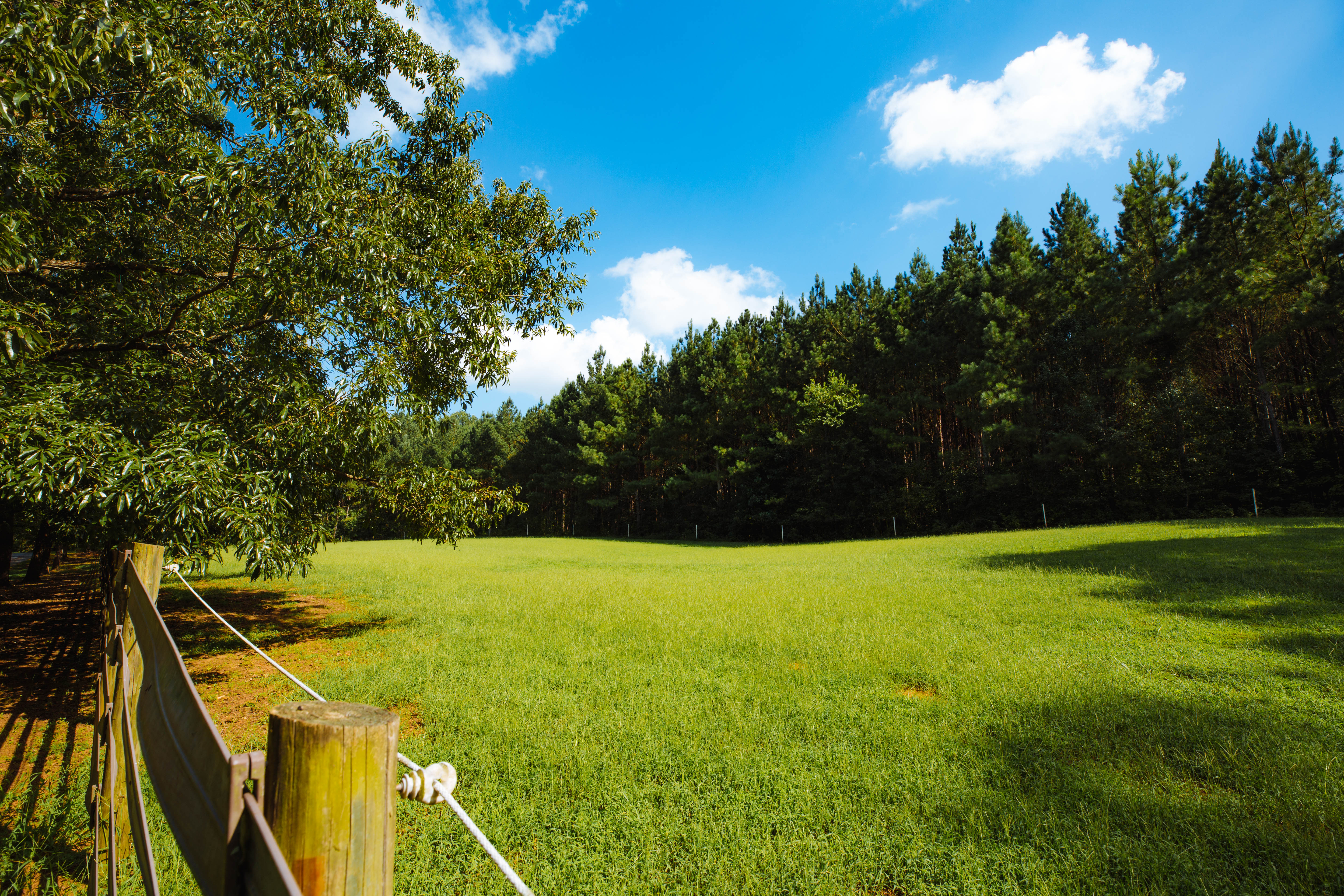 Sugar Creek Farm property picture 71 of 92