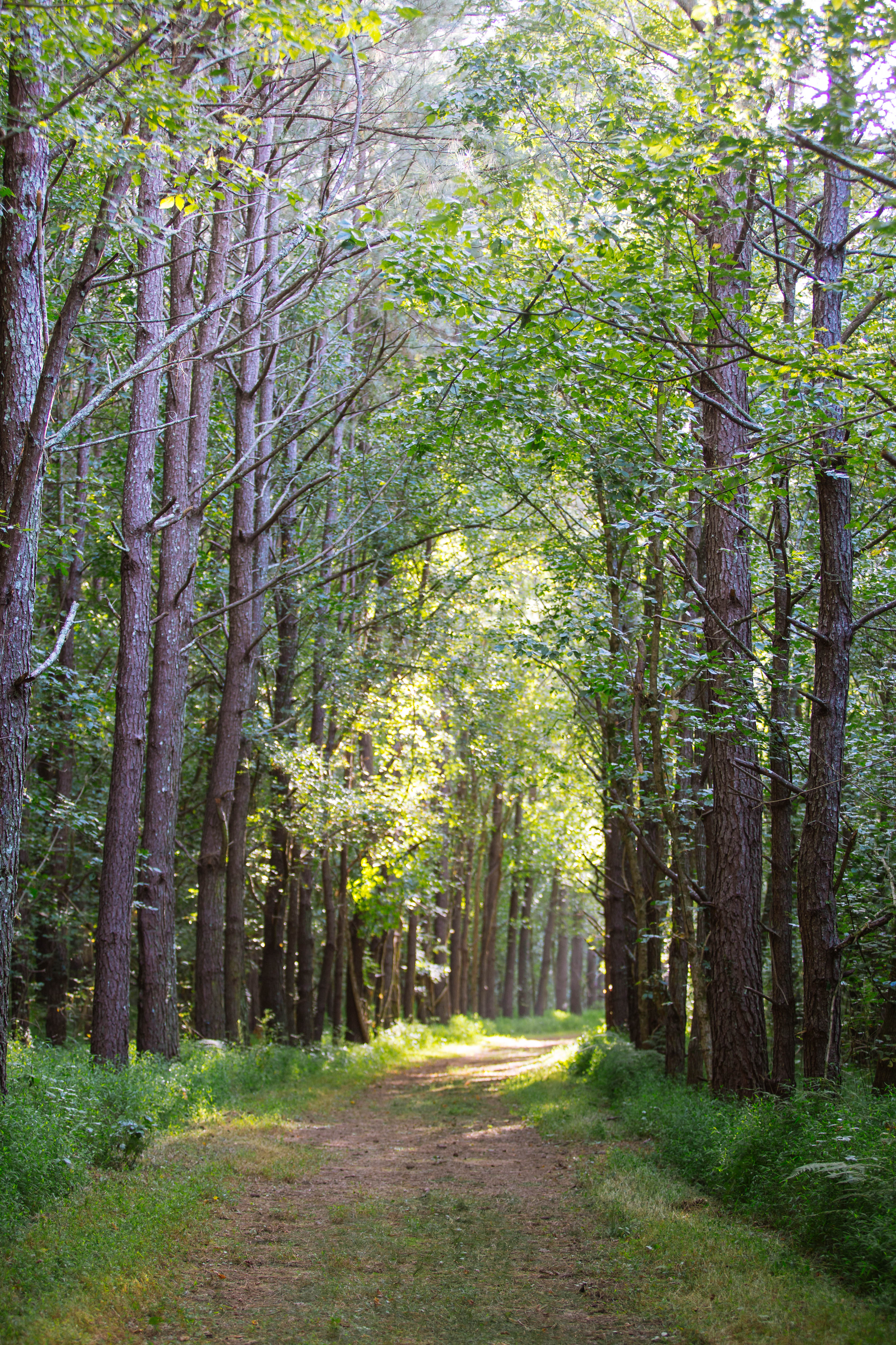 Sugar Creek Farm property picture 82 of 92