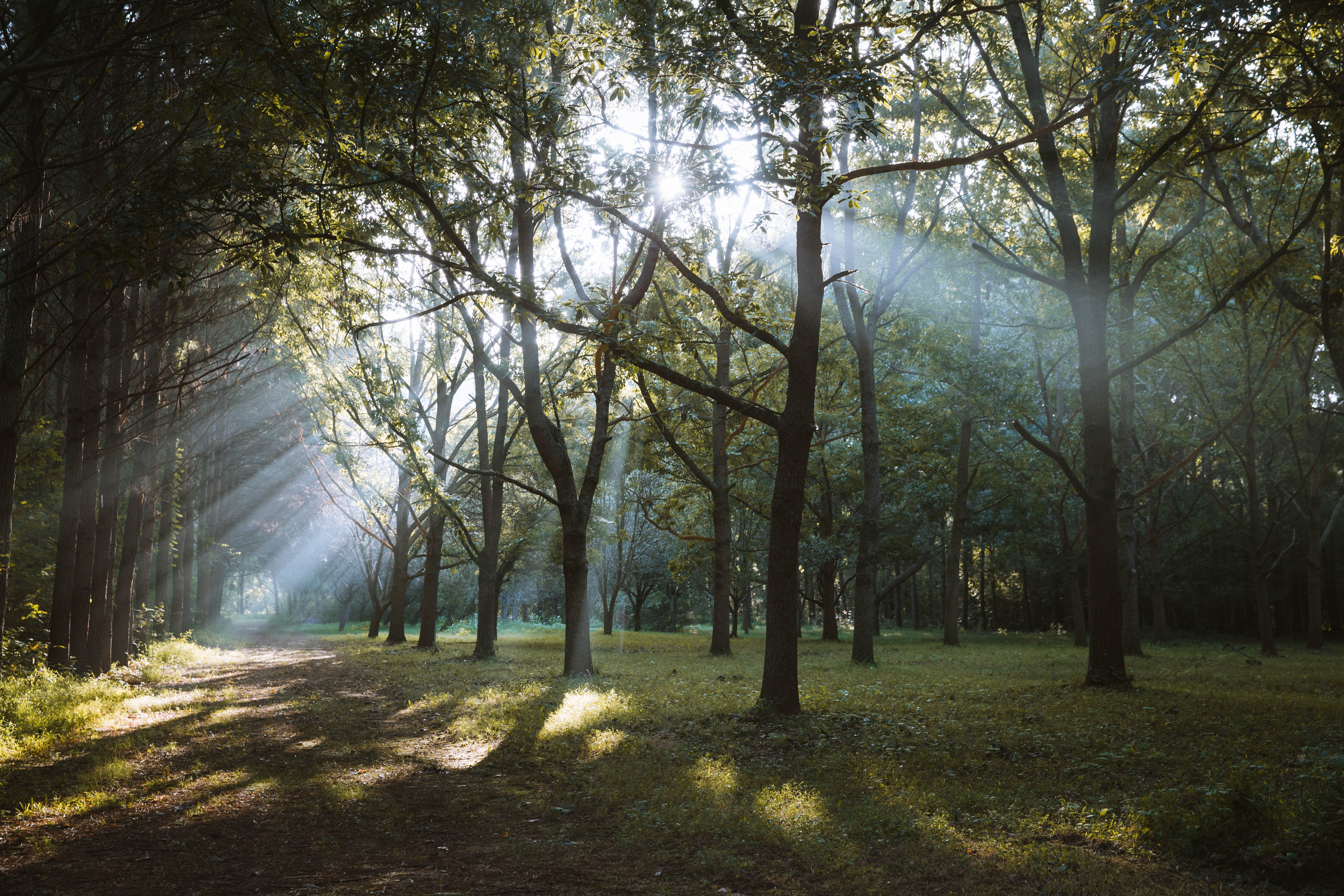 Sugar Creek Farm property picture 90 of 92