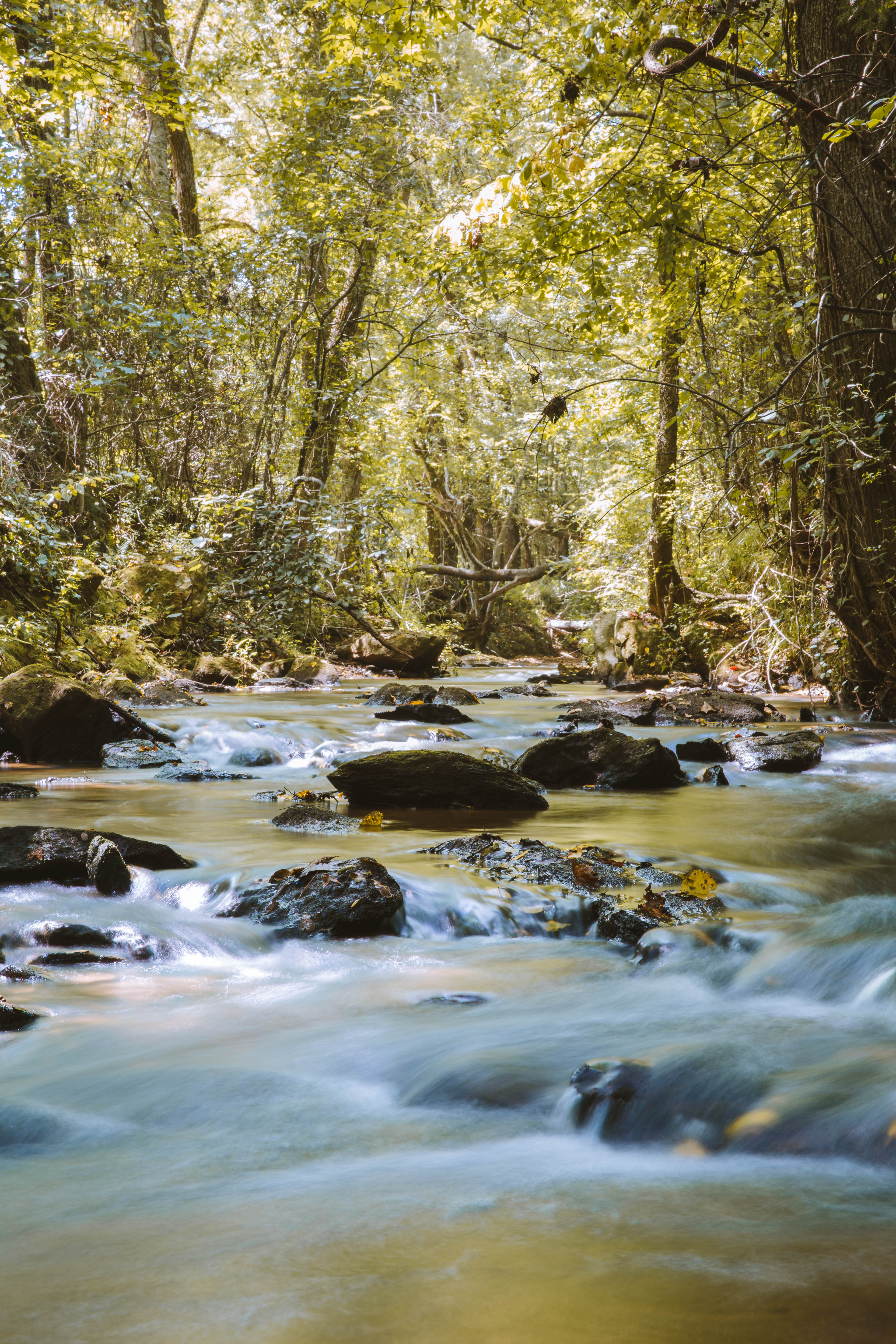 Sugar Creek Farm property picture 6 of 92