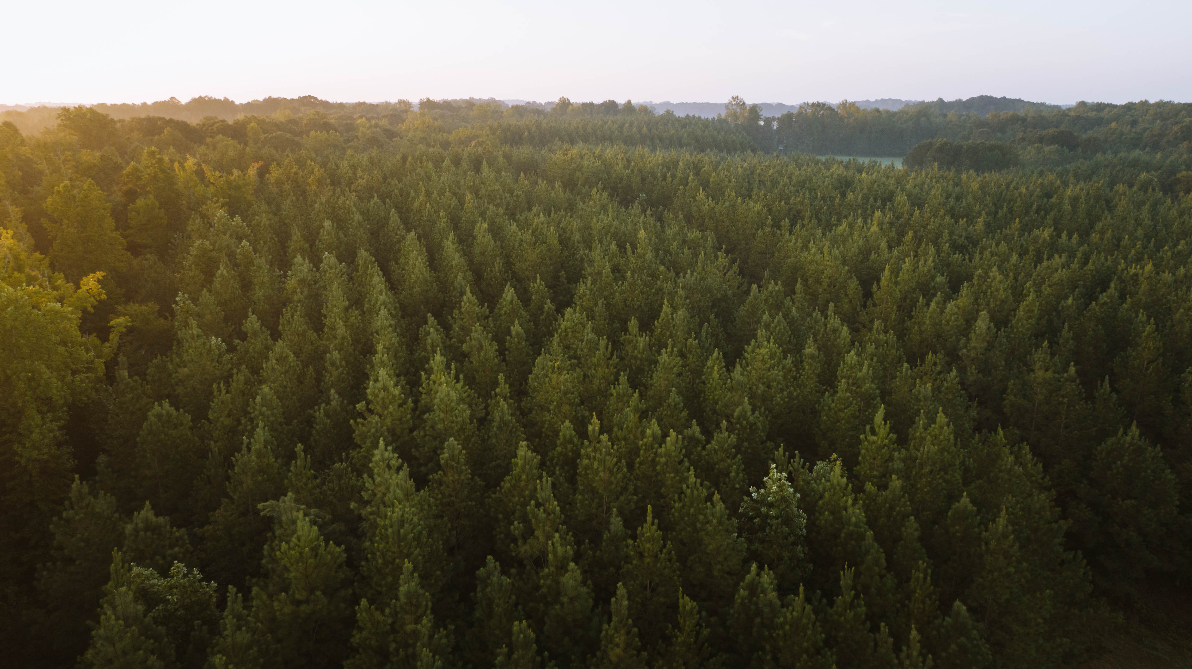 Sugar Creek Farm property picture 68 of 92