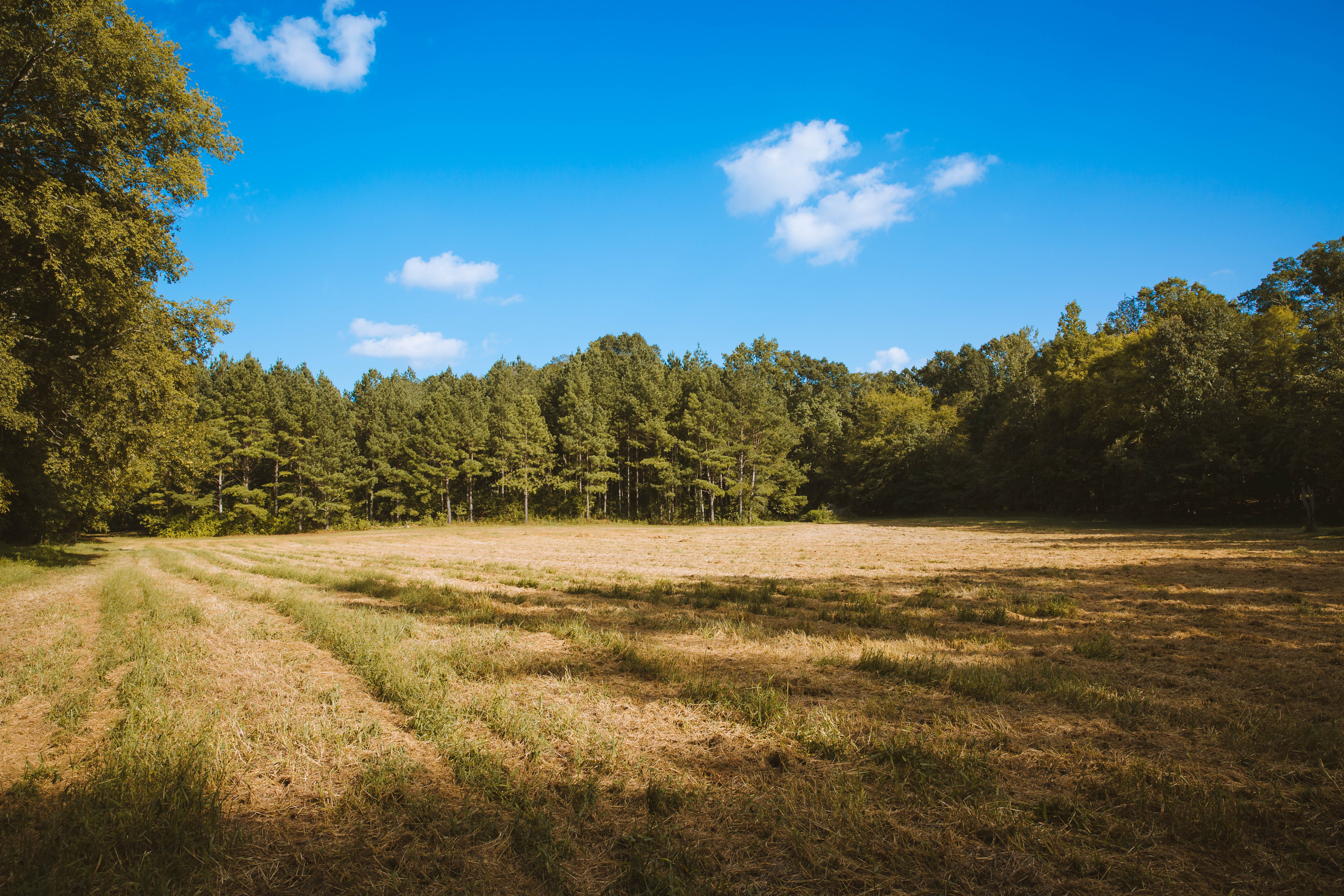 Sugar Creek Farm property picture 76 of 92
