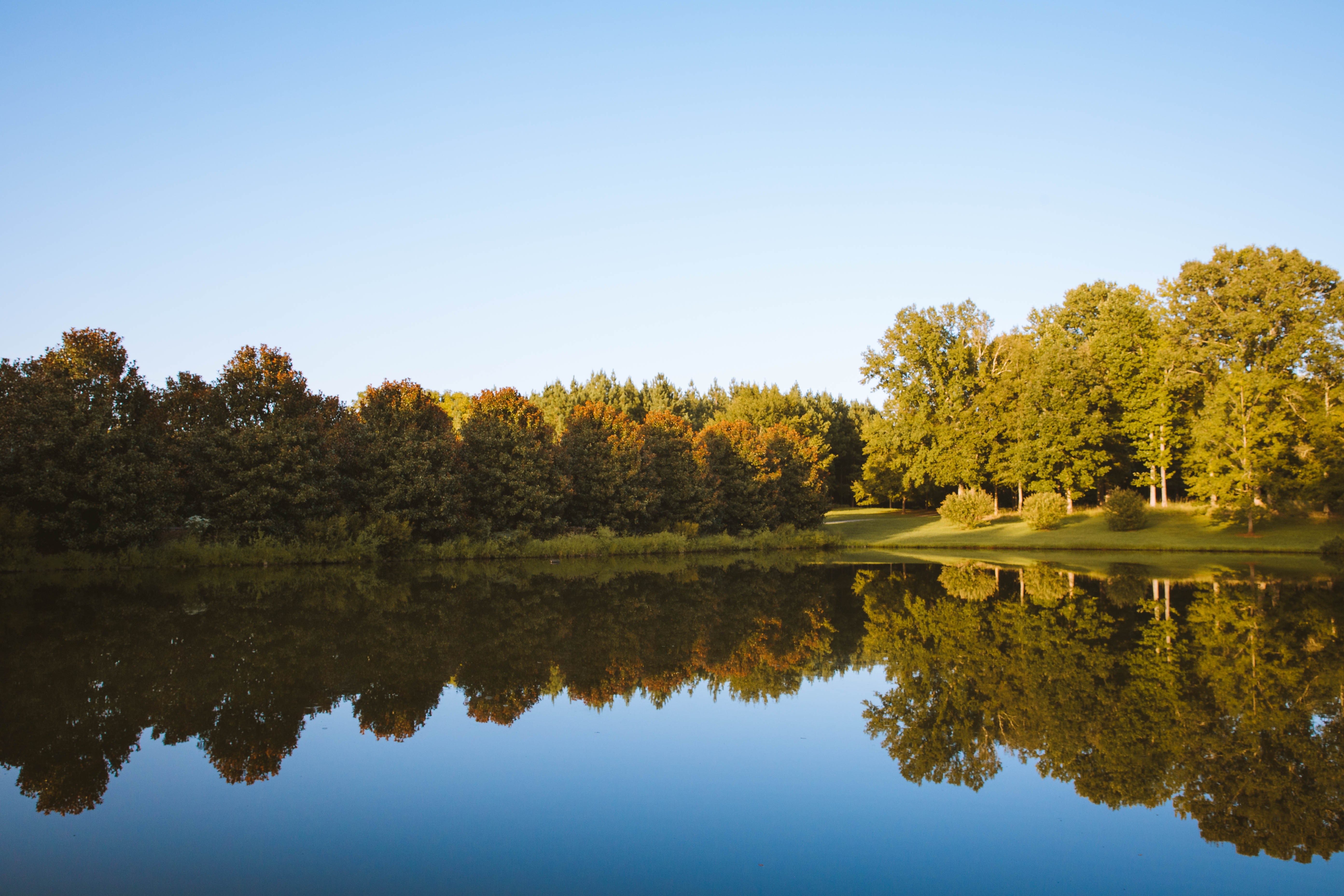 Sugar Creek Farm property picture 84 of 92