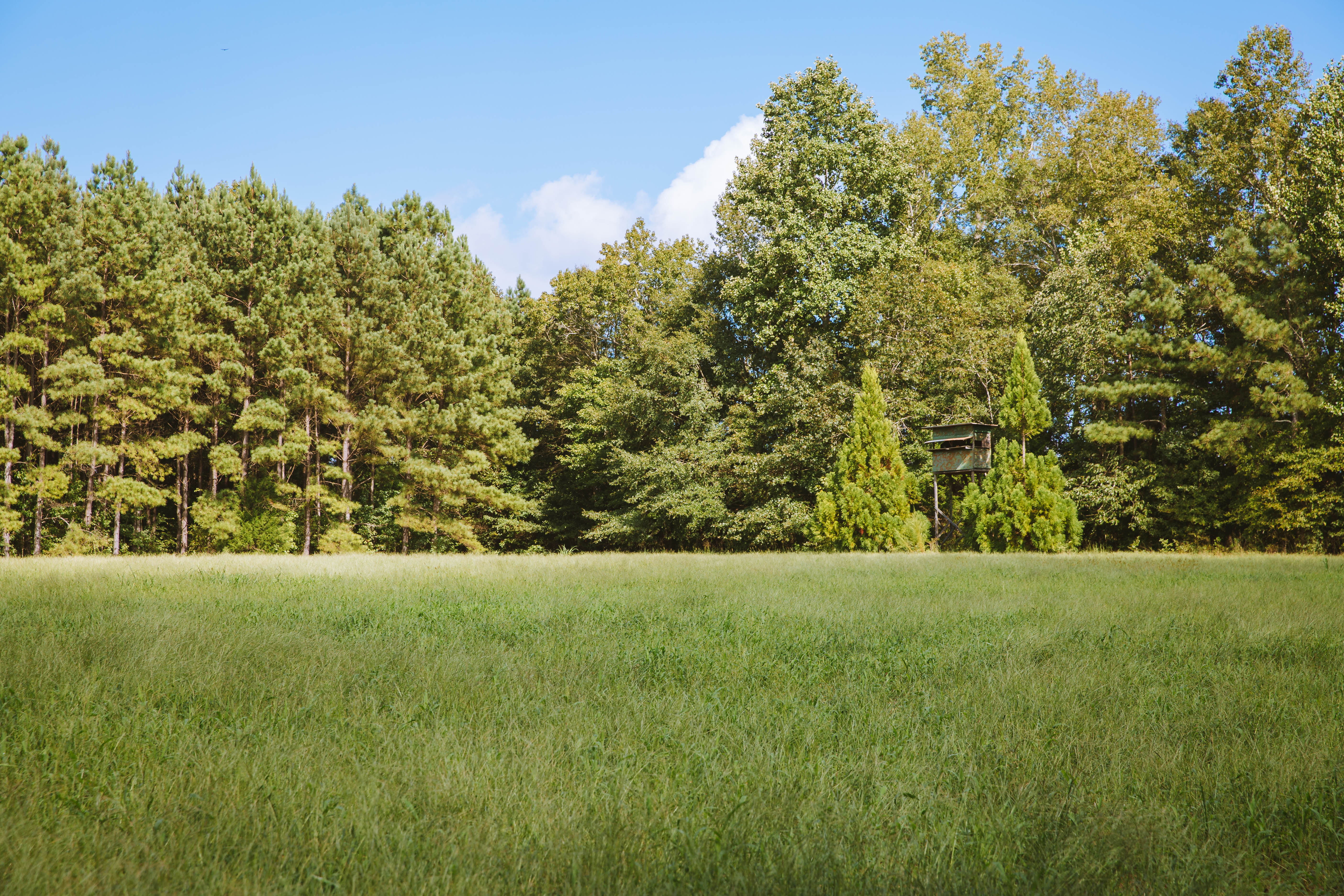 Sugar Creek Farm property picture 77 of 92