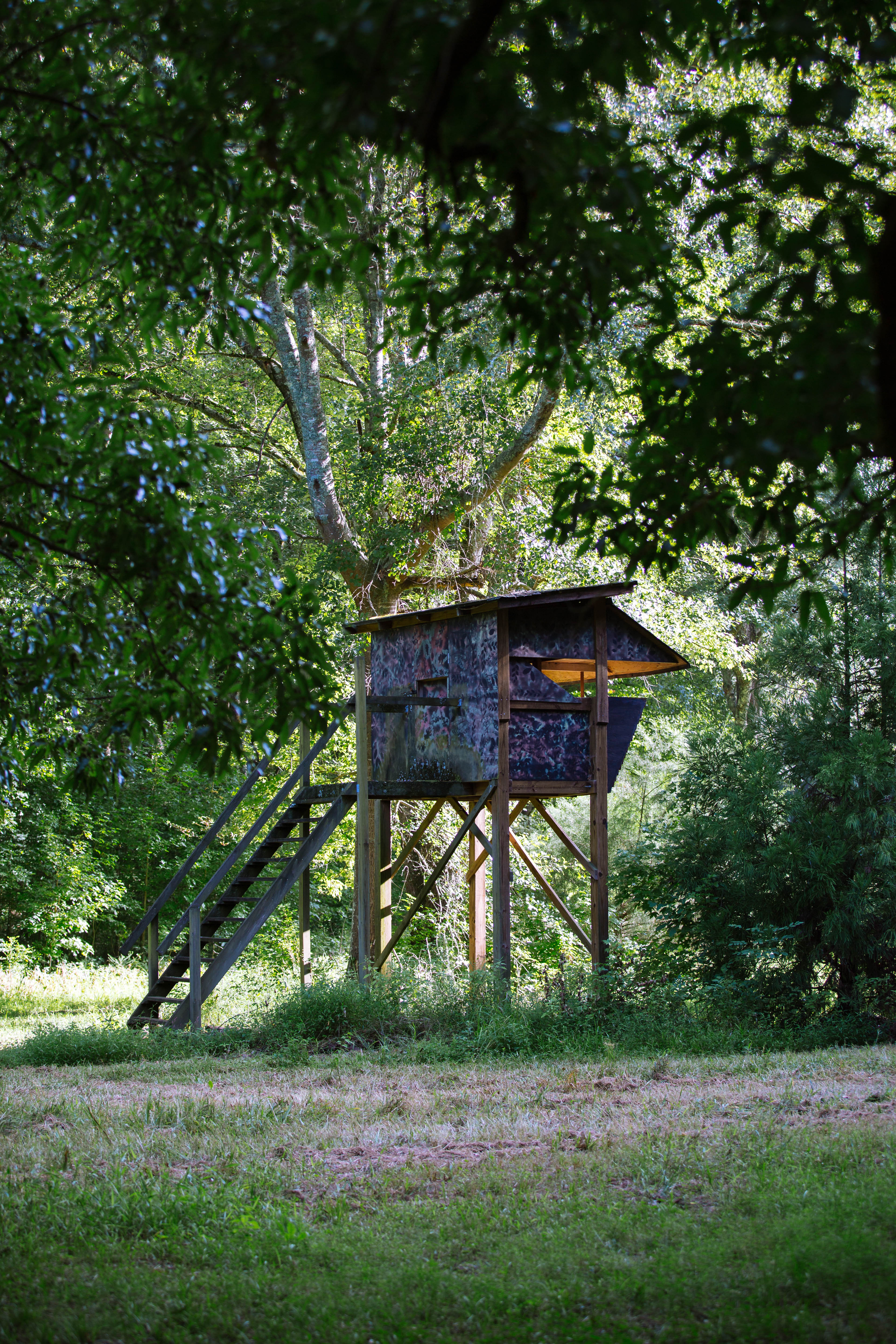 Sugar Creek Farm property picture 7 of 92