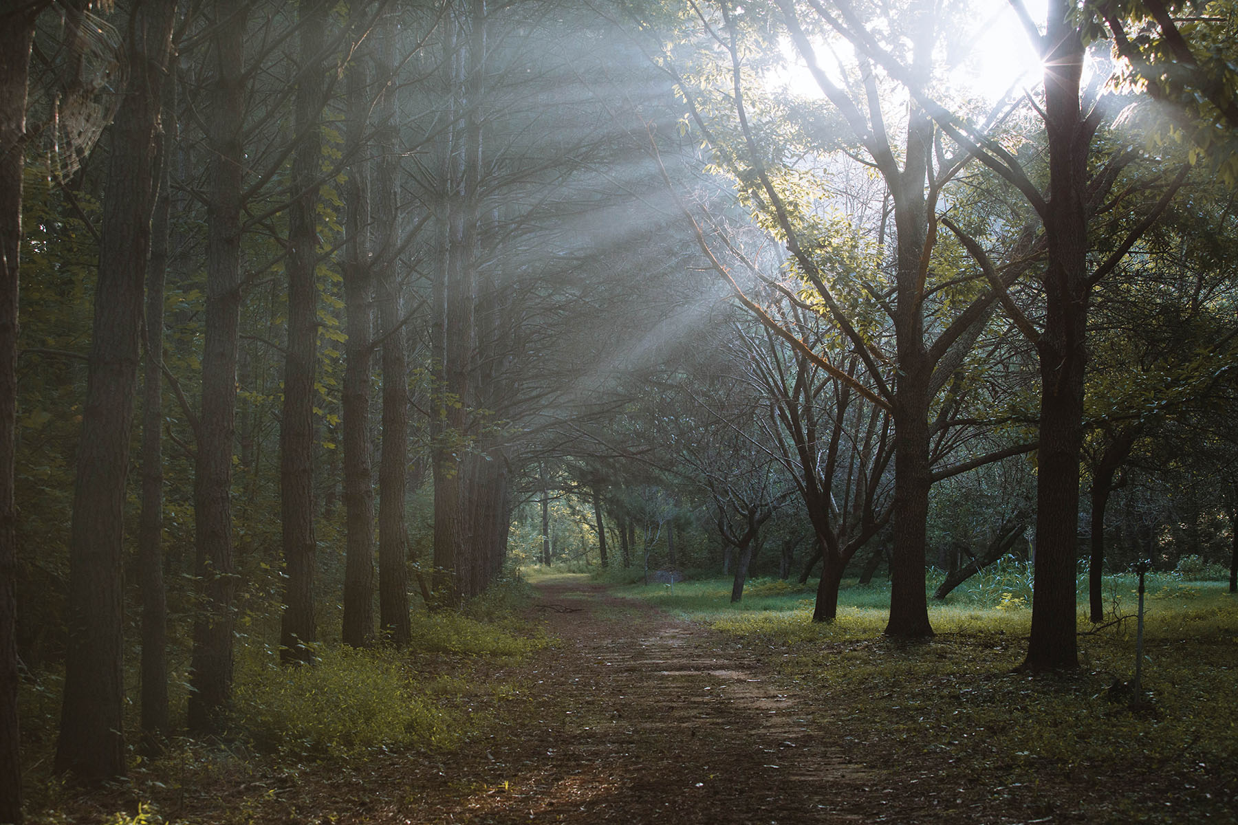 Sugar Creek Farm property picture 2 of 92