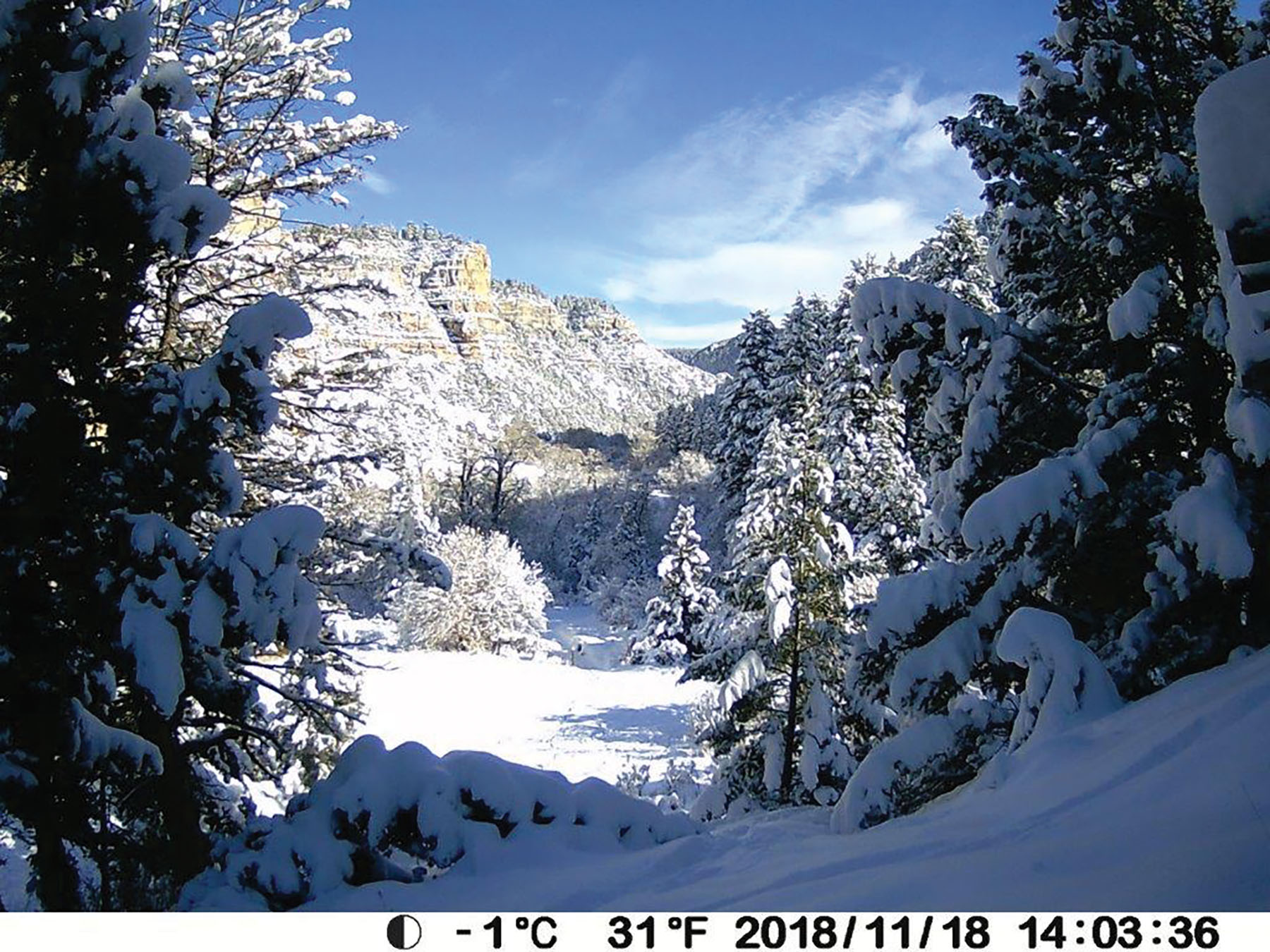 Otter Canyon Ranch property picture 19 of 26