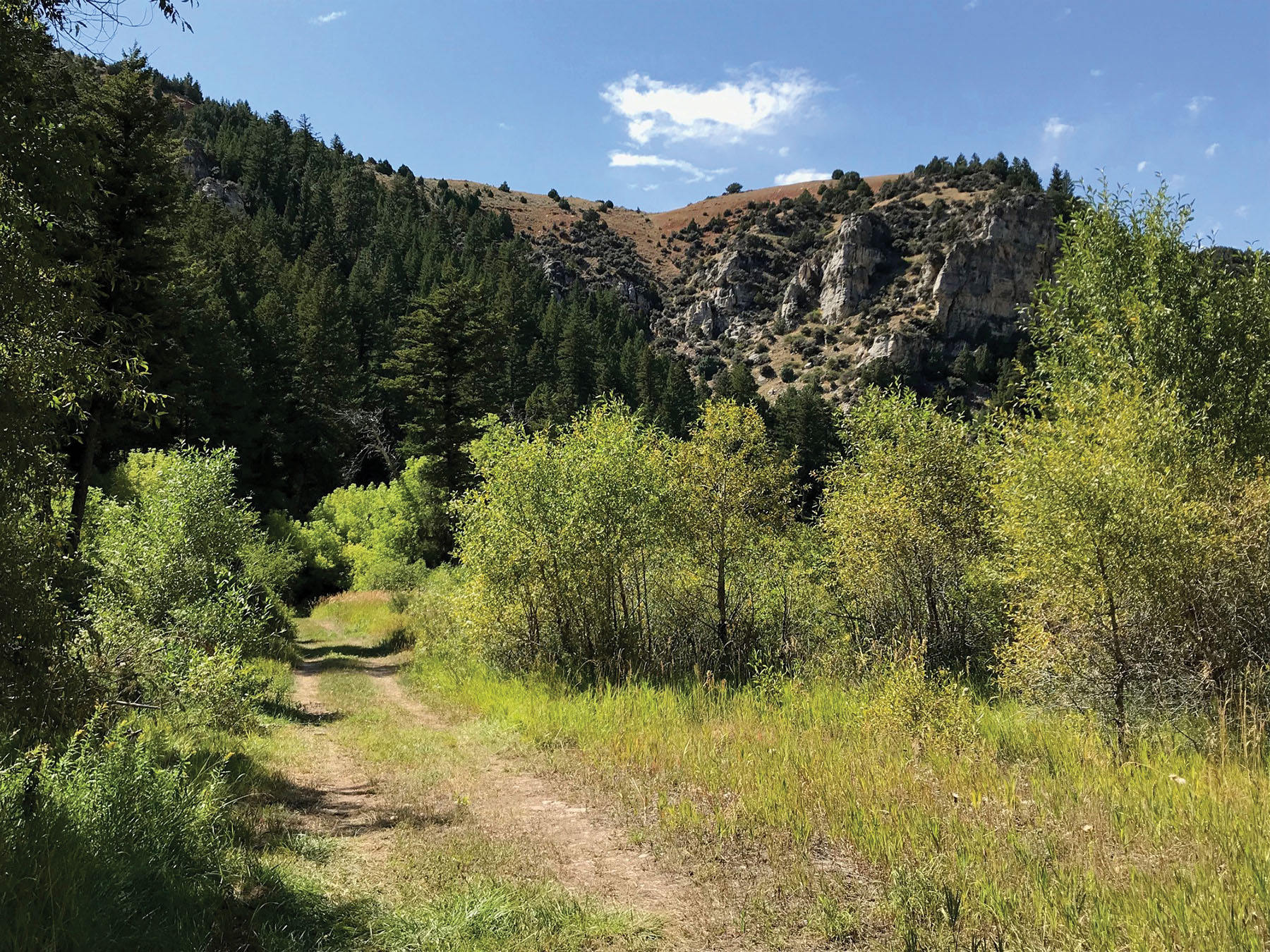 Otter Canyon Ranch property picture 15 of 26