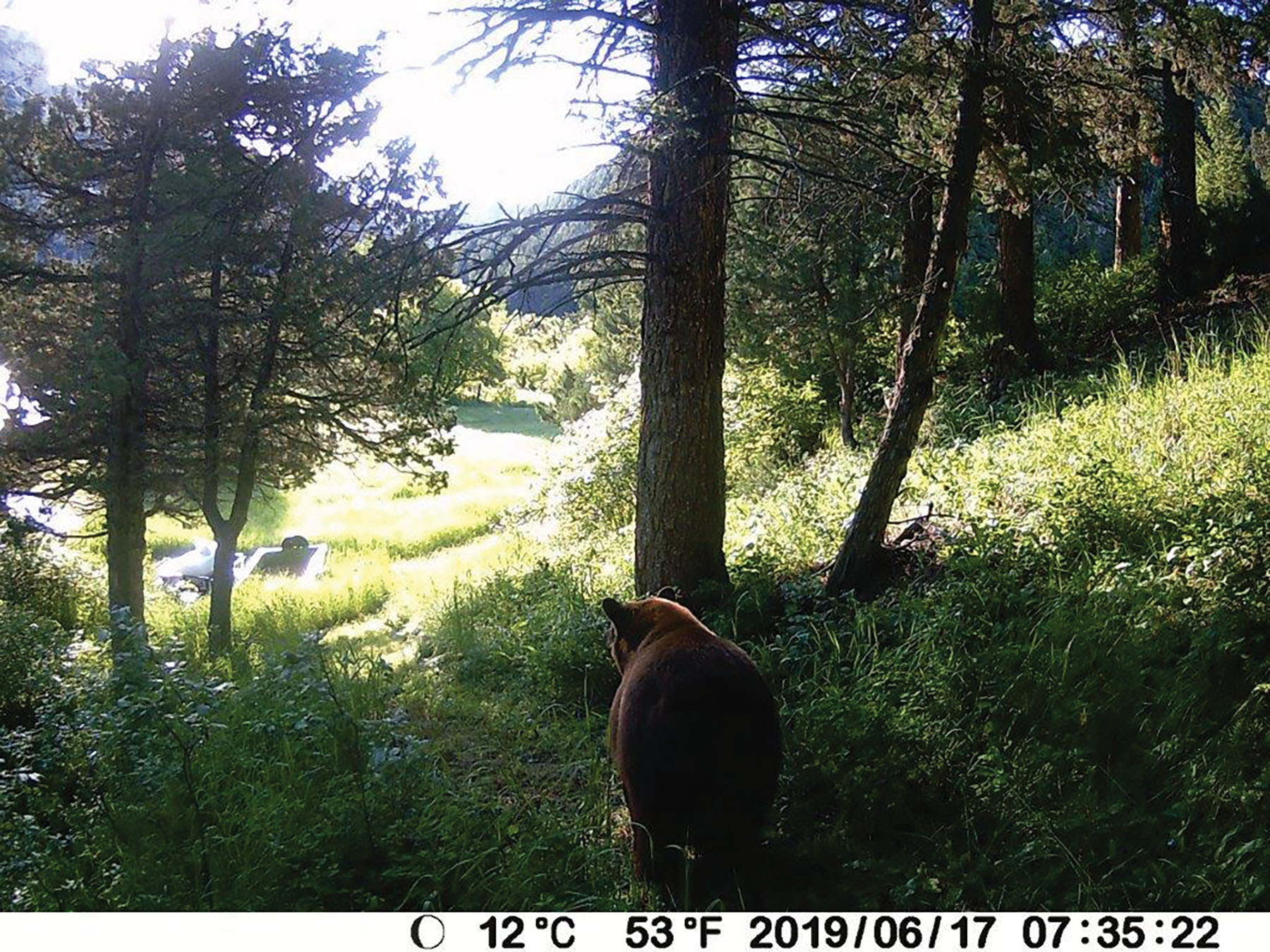 Otter Canyon Ranch property picture 21 of 26