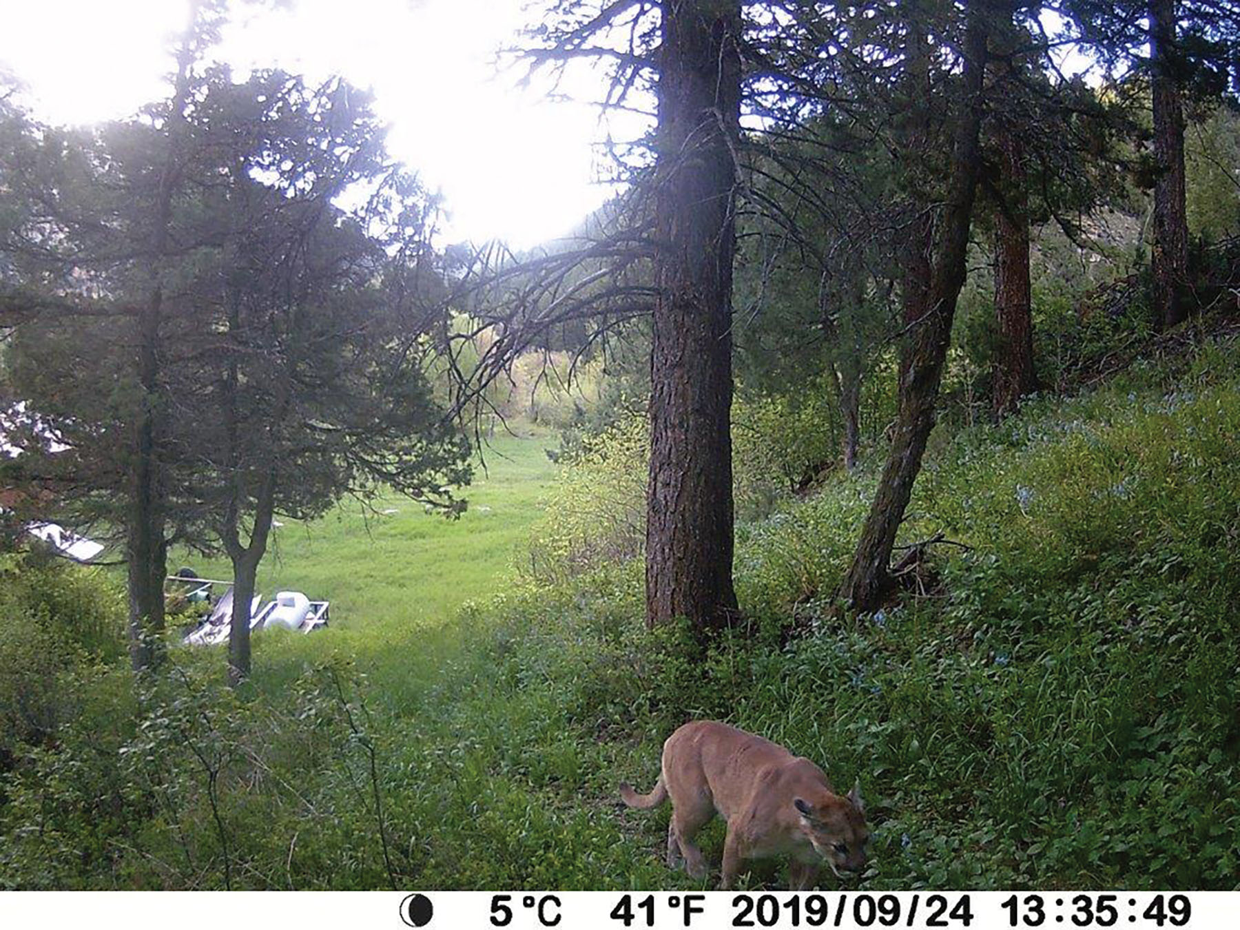 Otter Canyon Ranch property picture 22 of 26