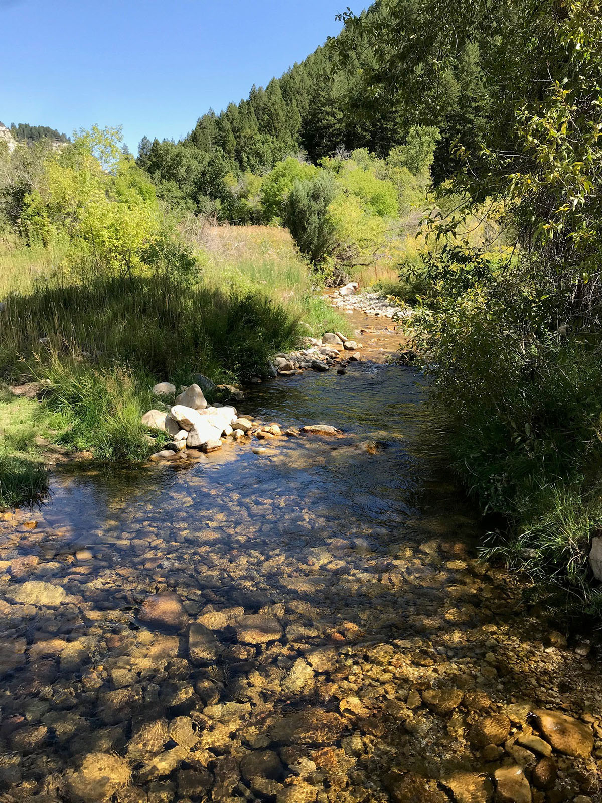 Otter Canyon Ranch property picture 10 of 26