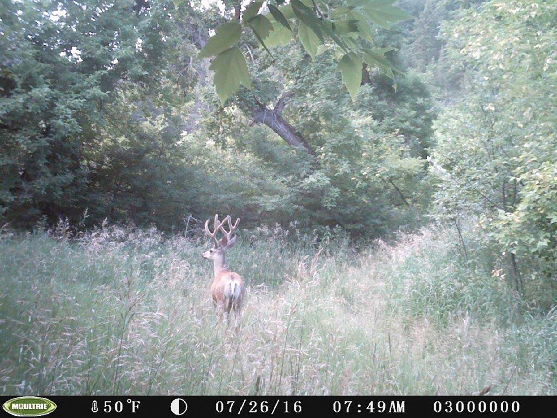 Otter Canyon Ranch property picture 25 of 26