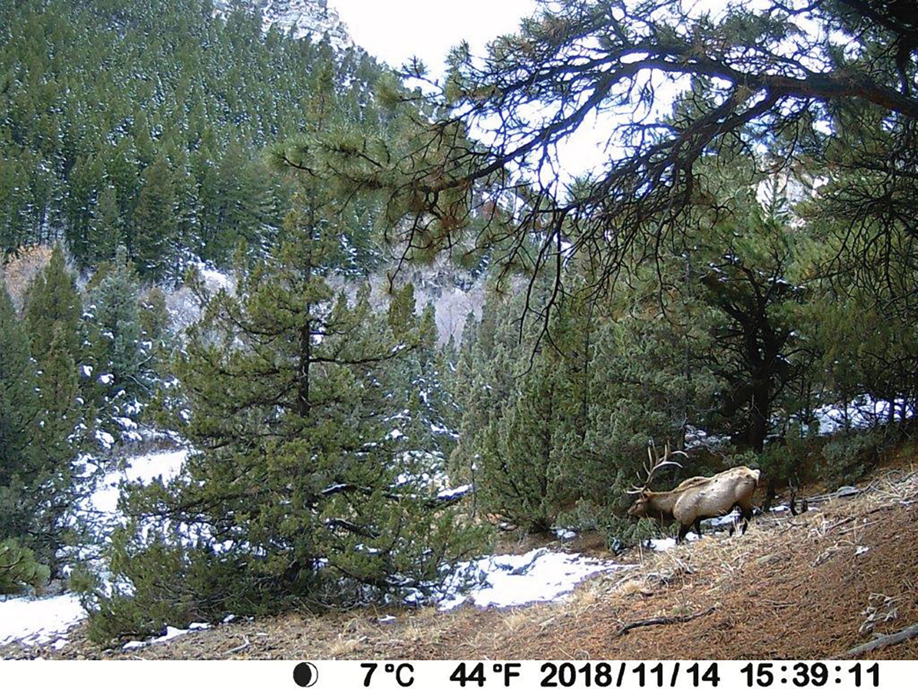 Otter Canyon Ranch property picture 5 of 26