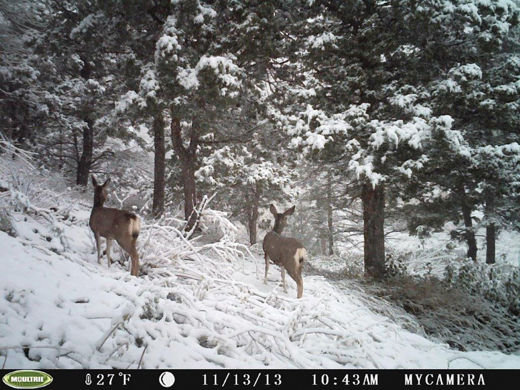 Otter Canyon Ranch property picture 20 of 26