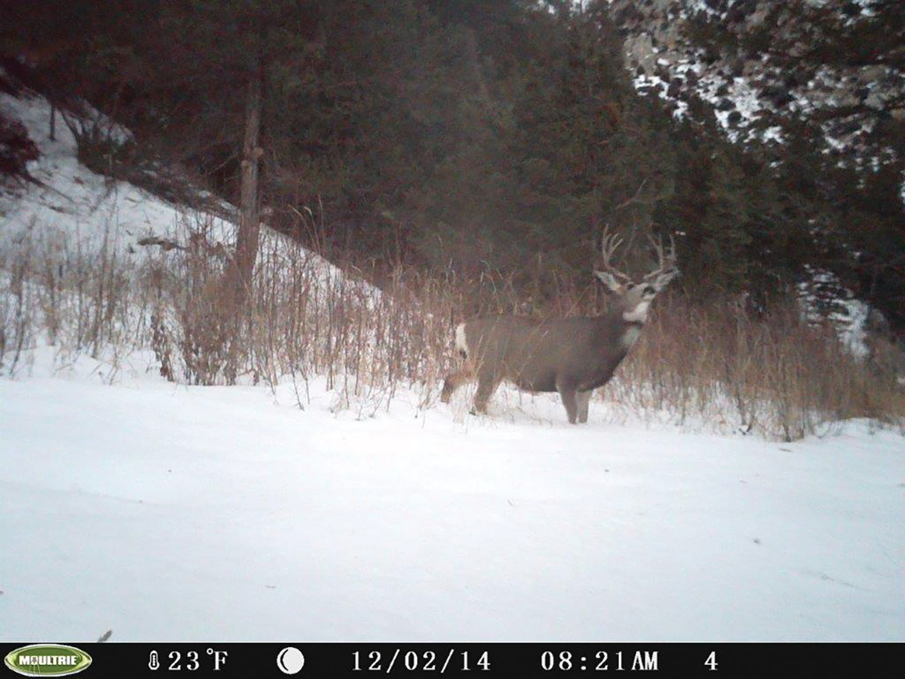 Otter Canyon Ranch property picture 23 of 26