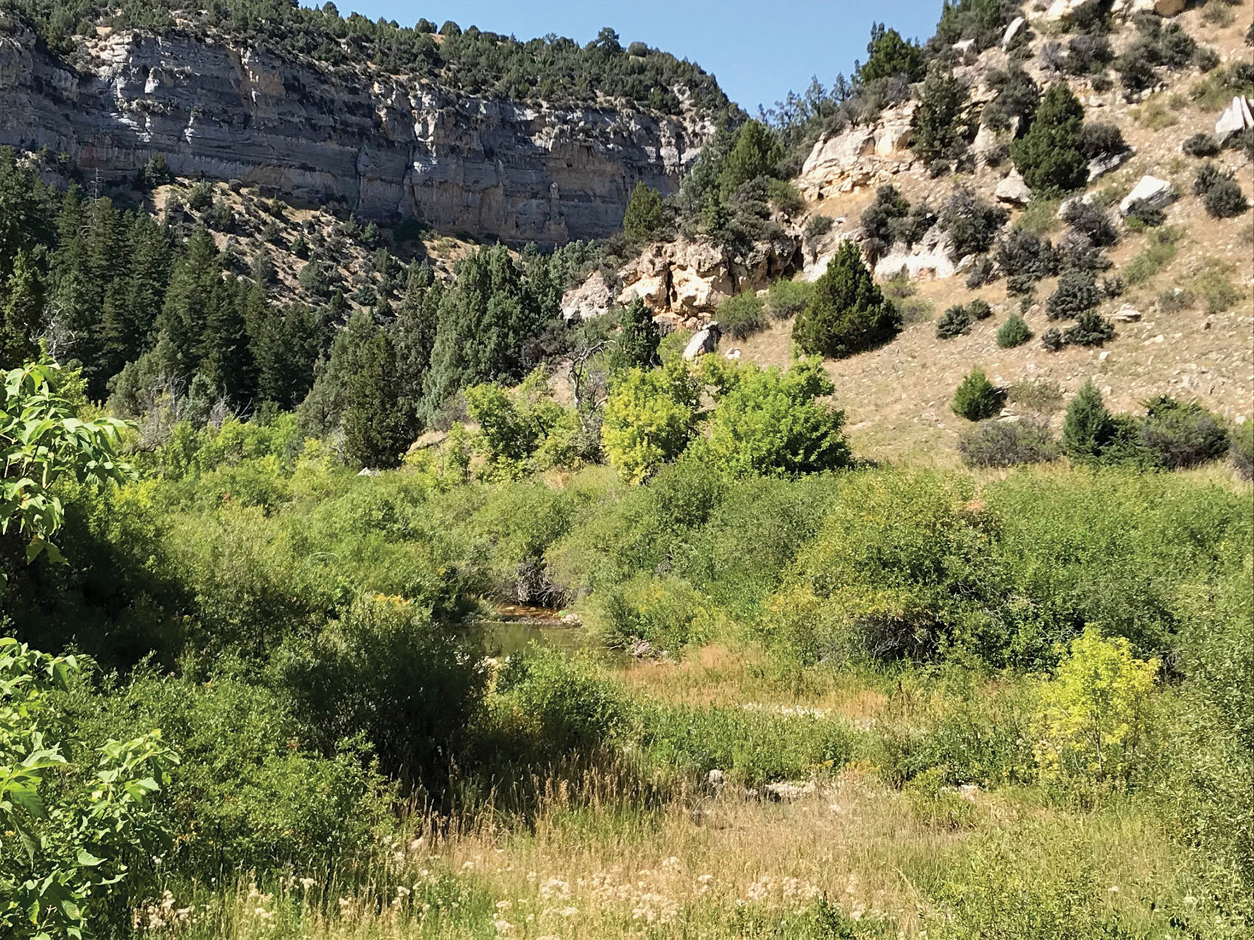 Otter Canyon Ranch property picture 18 of 26