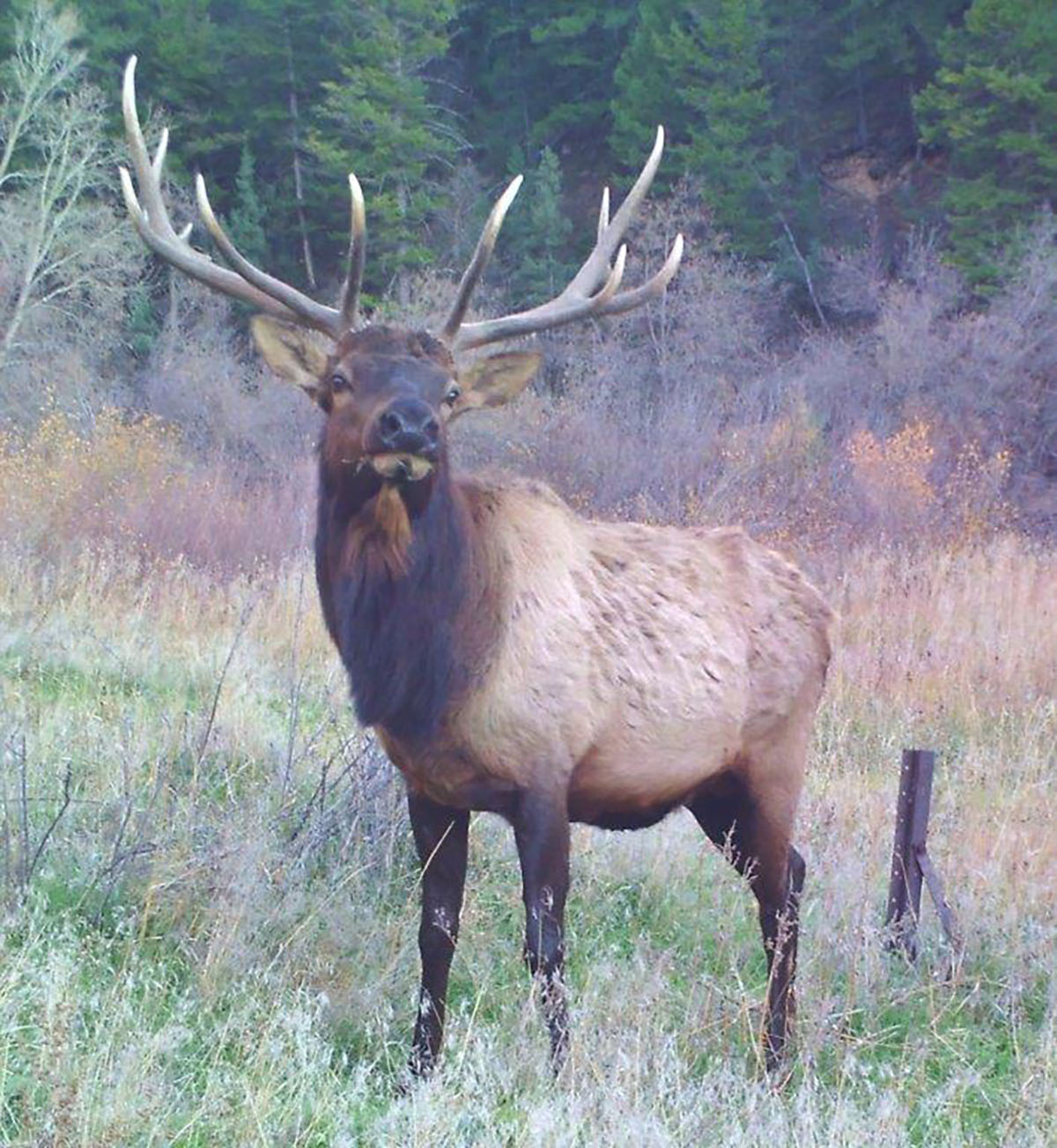 Otter Canyon Ranch property picture 13 of 26