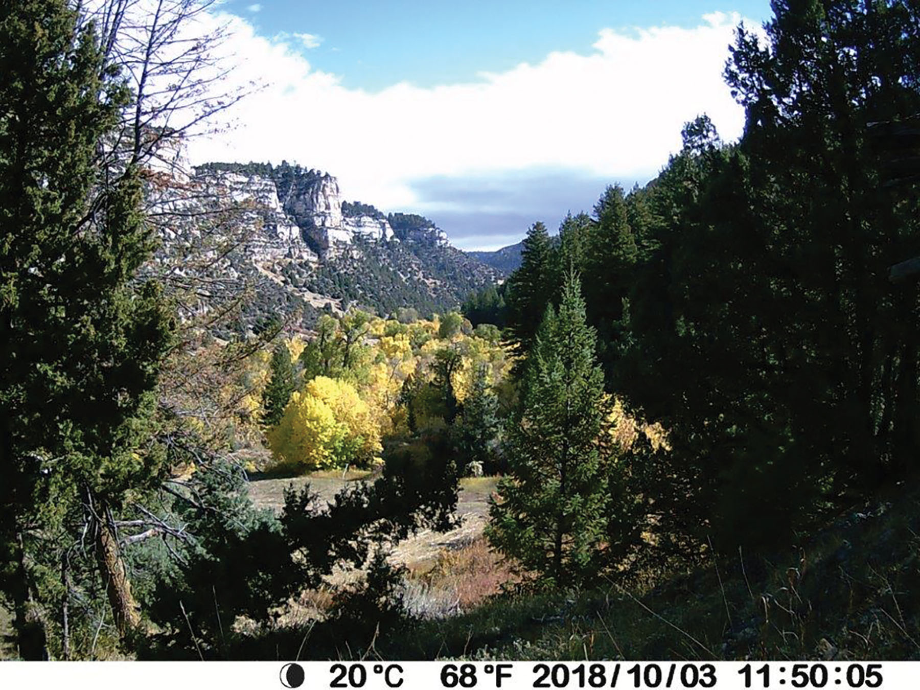 Otter Canyon Ranch property picture 17 of 26