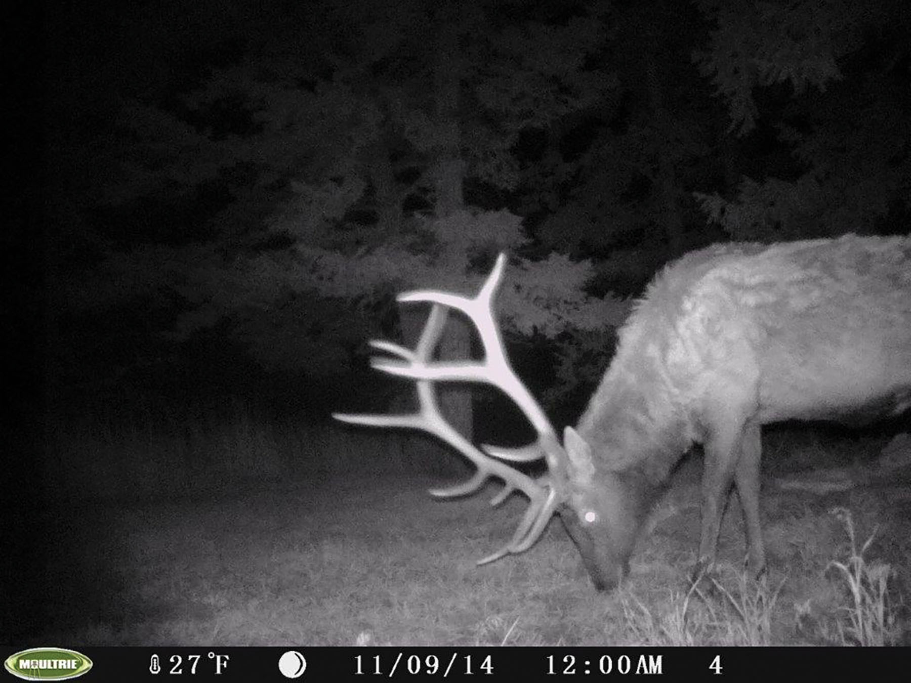 Otter Canyon Ranch property picture 24 of 26