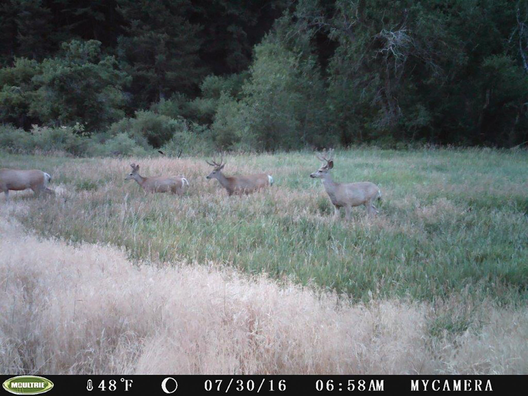 Otter Canyon Ranch property picture 14 of 26
