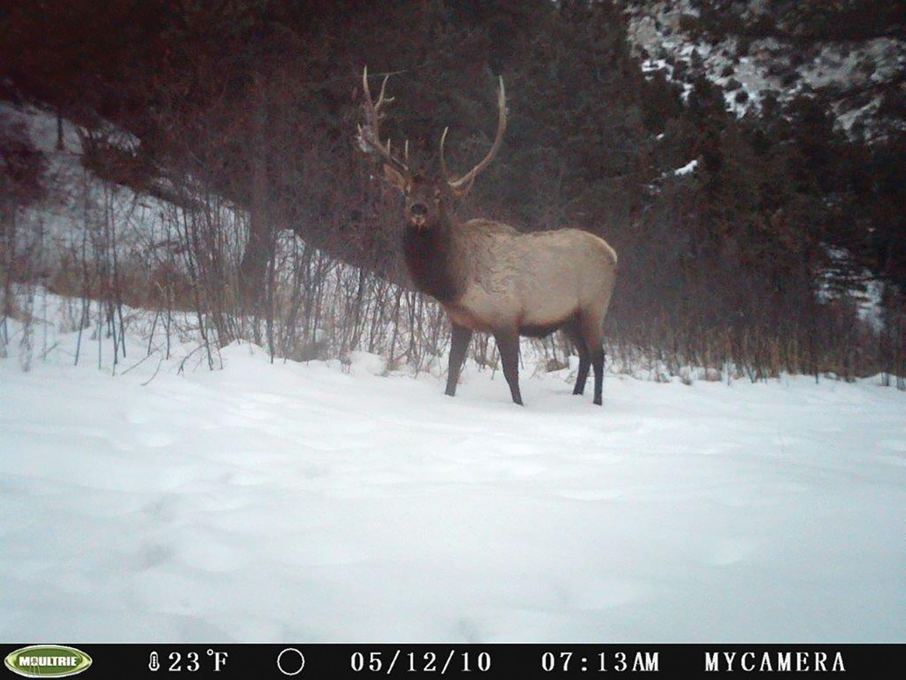 Otter Canyon Ranch property picture 16 of 26