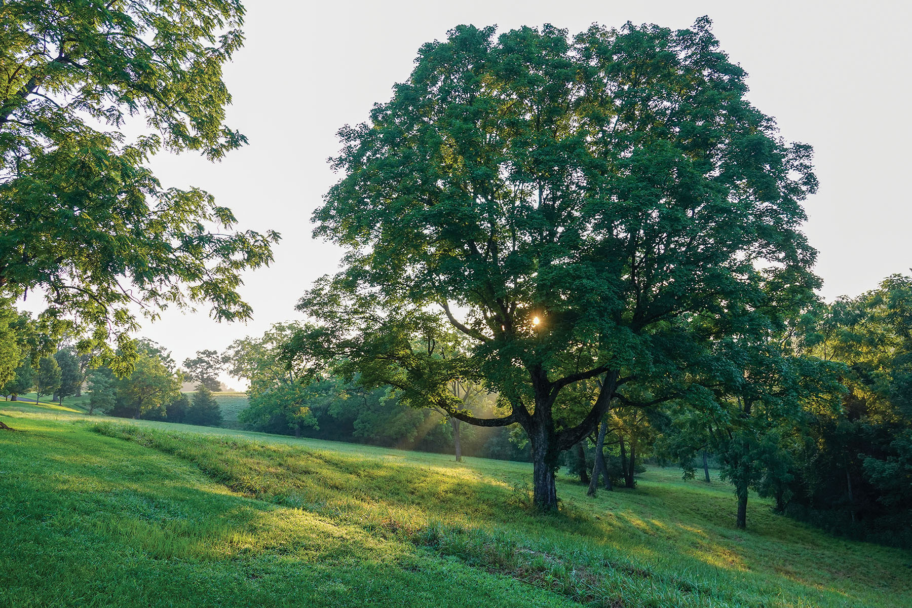 River Ridge Ranch property picture 5 of 63